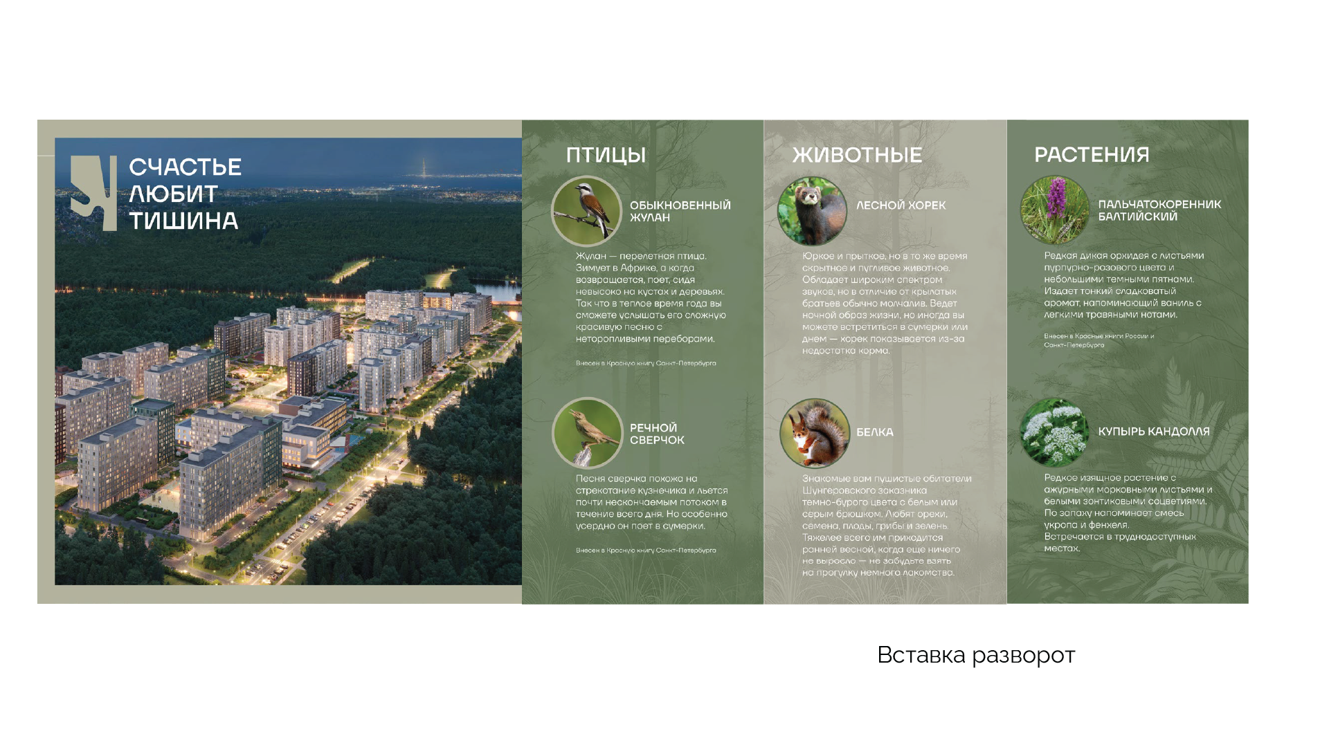 Буклет для ЖК "ТИШИН" — Изображение №7 — Графика на Dprofile