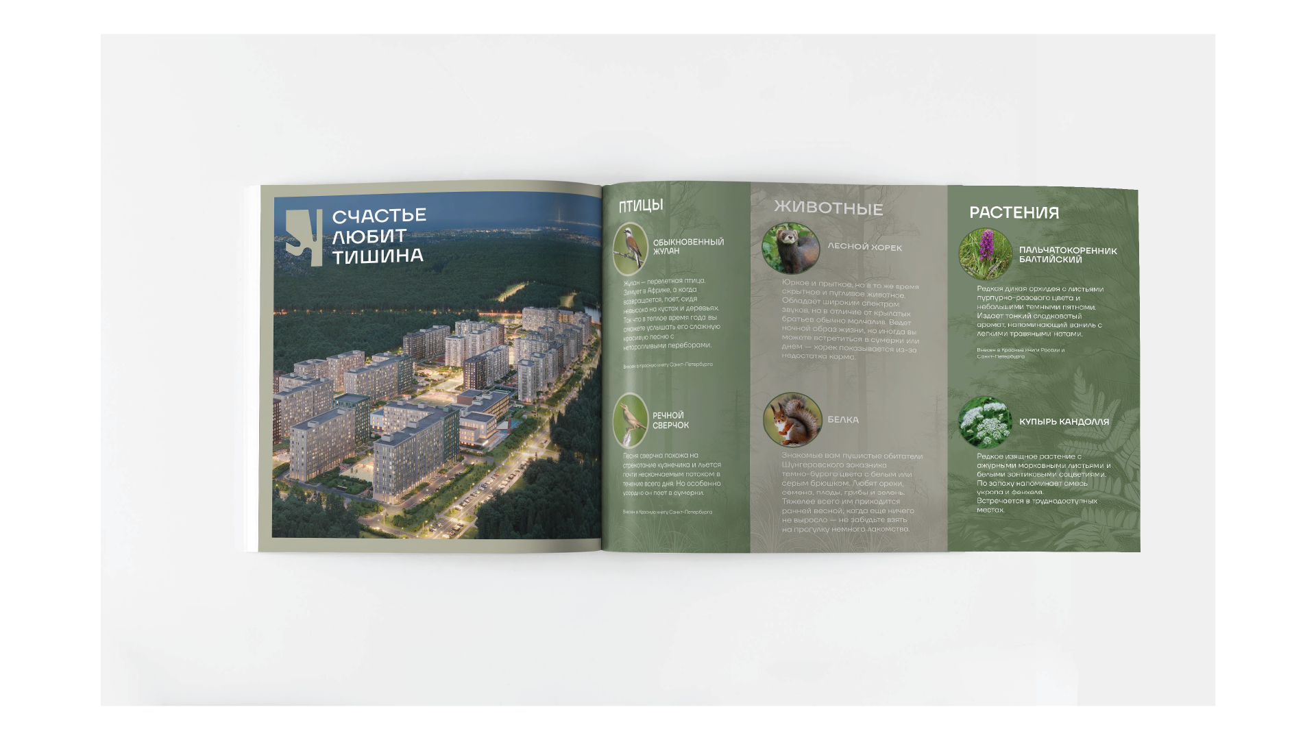 Буклет для ЖК "ТИШИН" — Изображение №8 — Графика на Dprofile