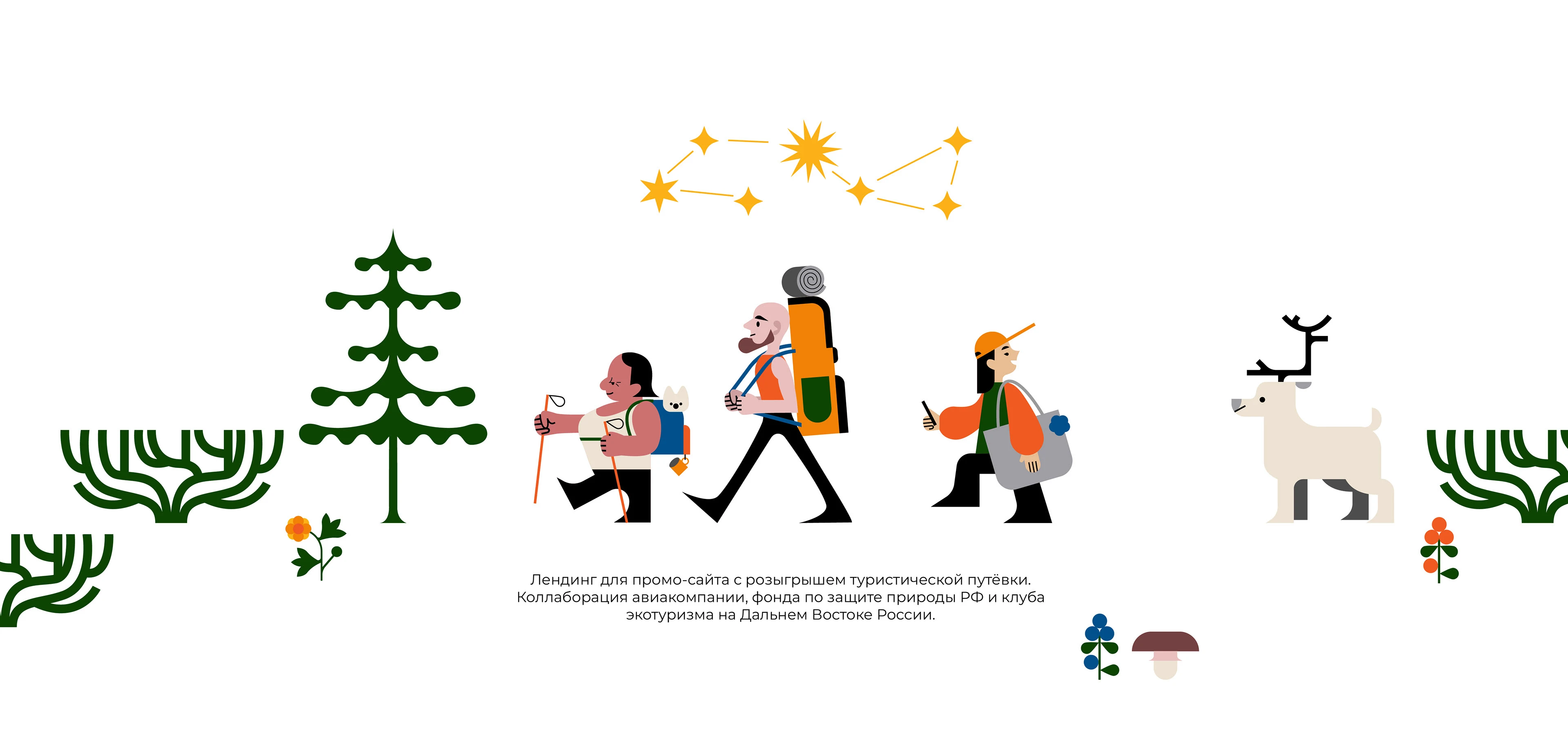 лендинг экотура — Изображение №1 — Иллюстрация на Dprofile