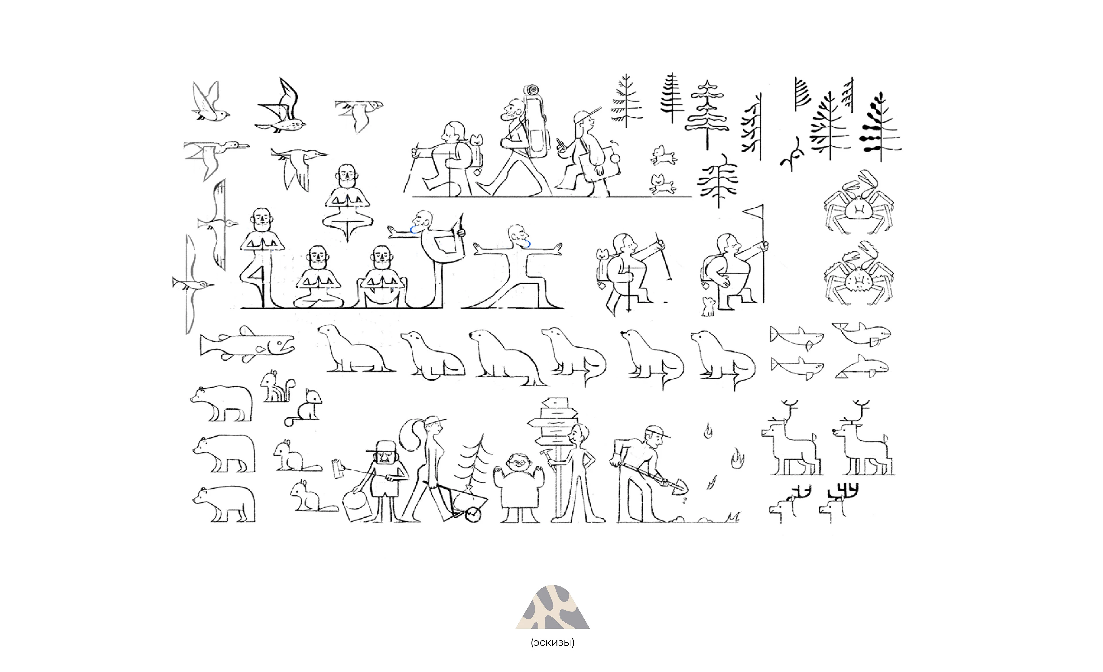 лендинг экотура — Изображение №4 — Иллюстрация на Dprofile