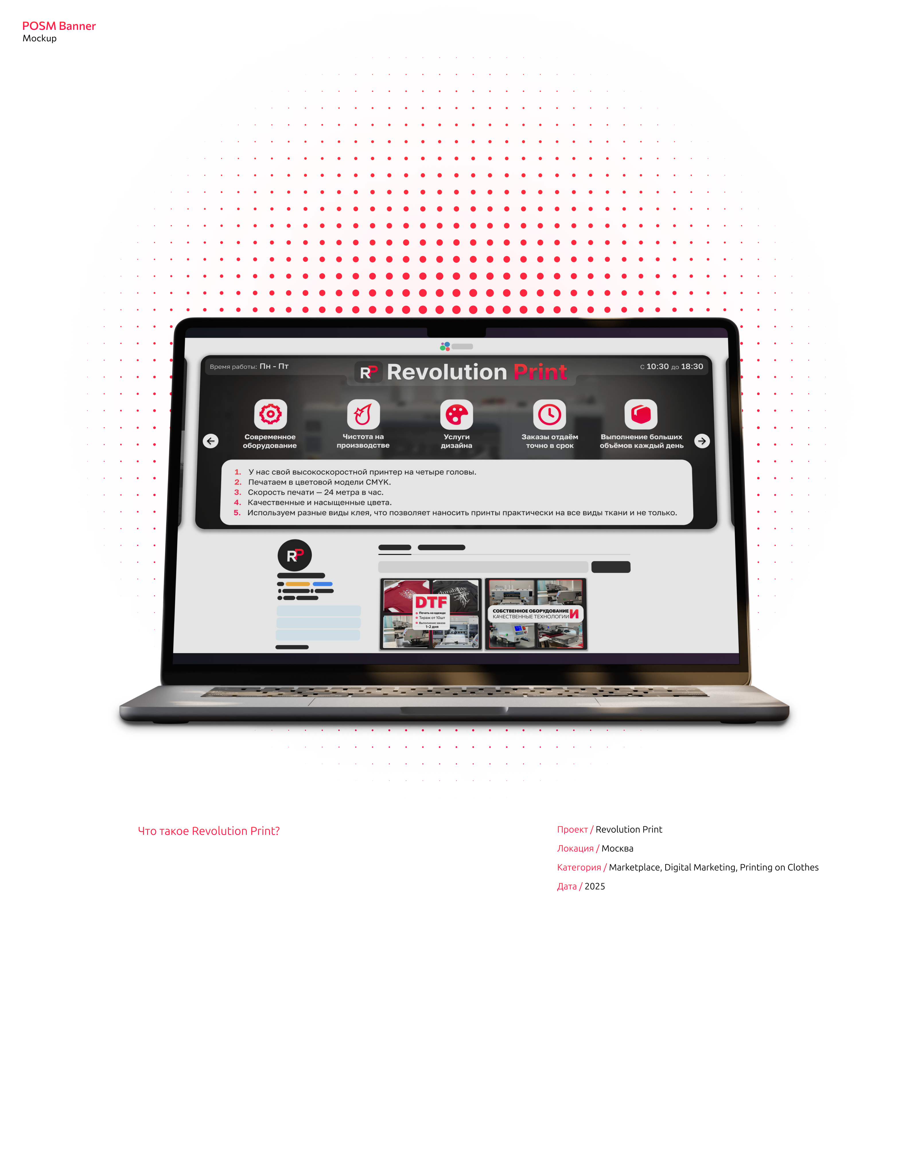 Кейс "RevolutionPrint" — Изображение №3 — Брендинг, Маркетинг на Dprofile