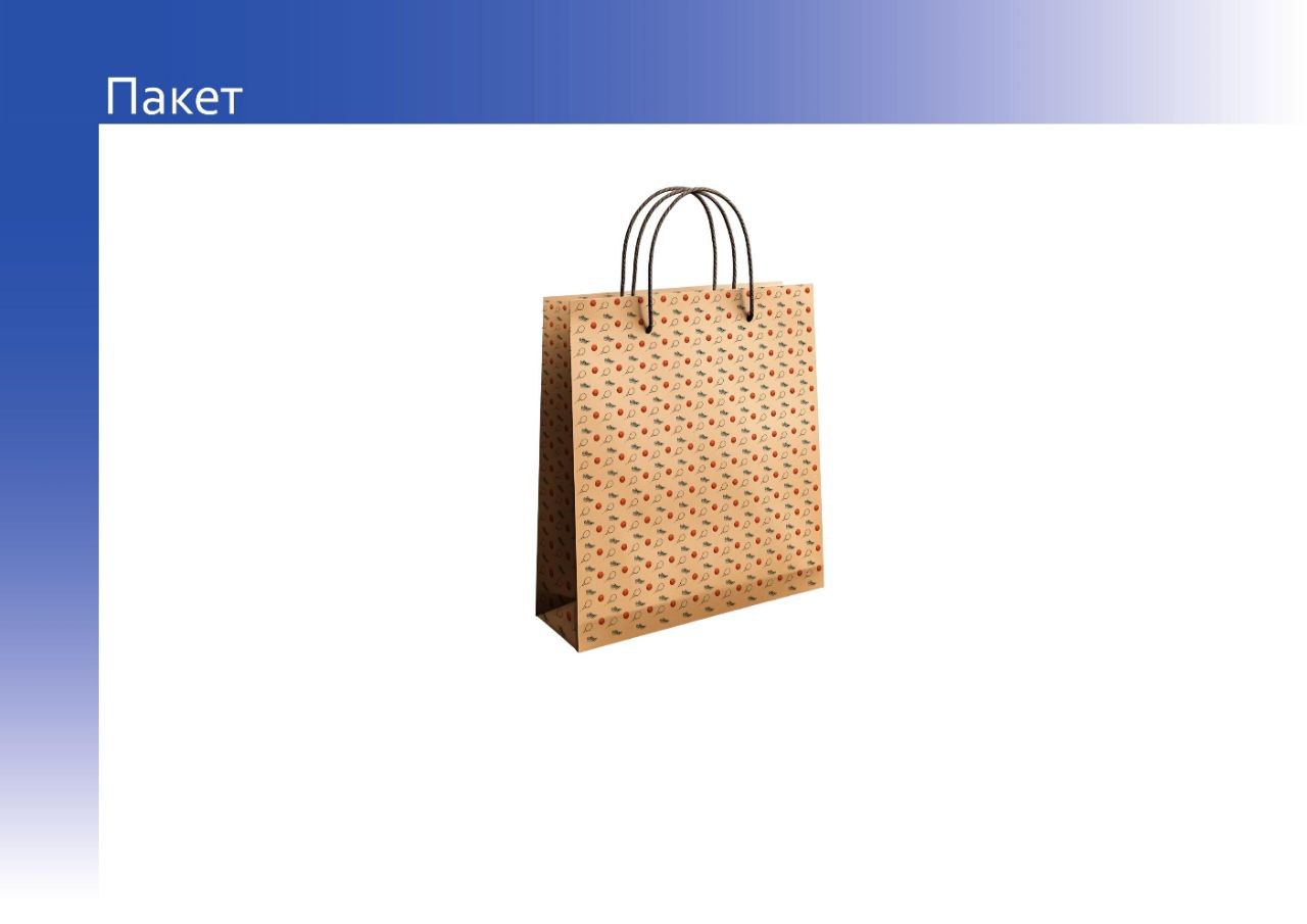 Брендбук для компании СпортЛайф, продающей спортивные товары — Изображение №18 — Брендинг на Dprofile