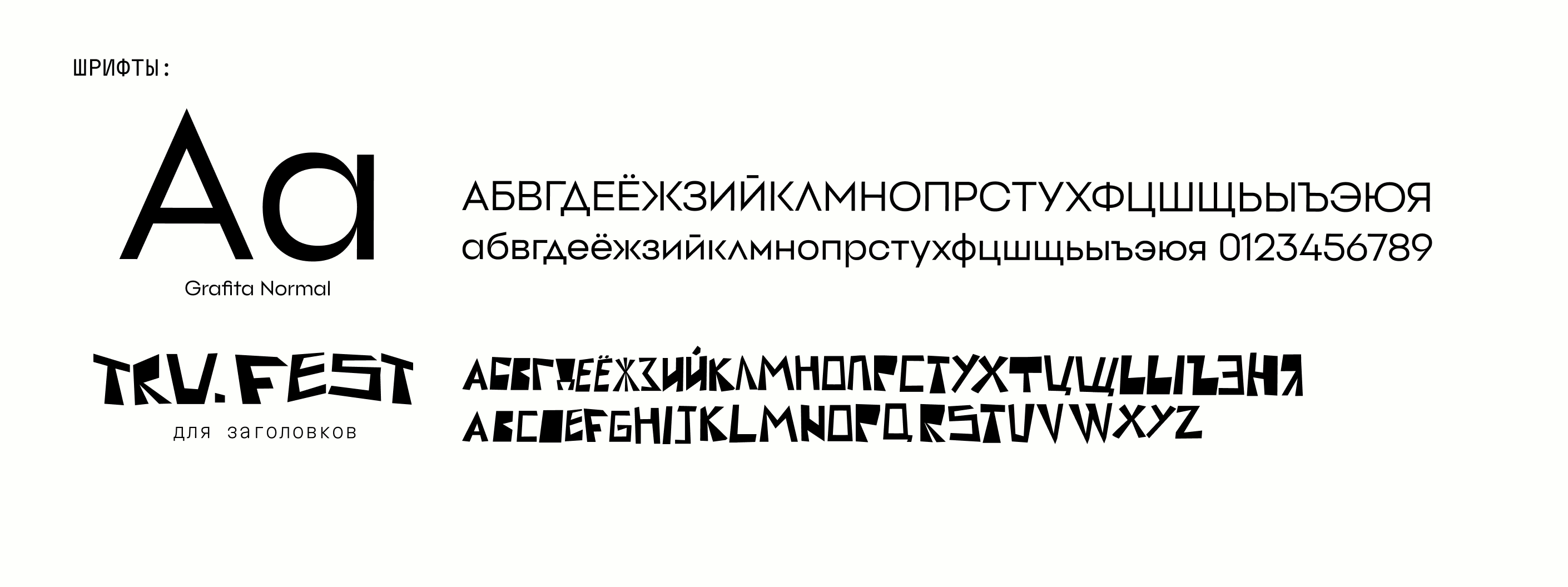 Айдентика музыкального фестиваля «TRU.FEST» — Изображение №5 — Брендинг на Dprofile