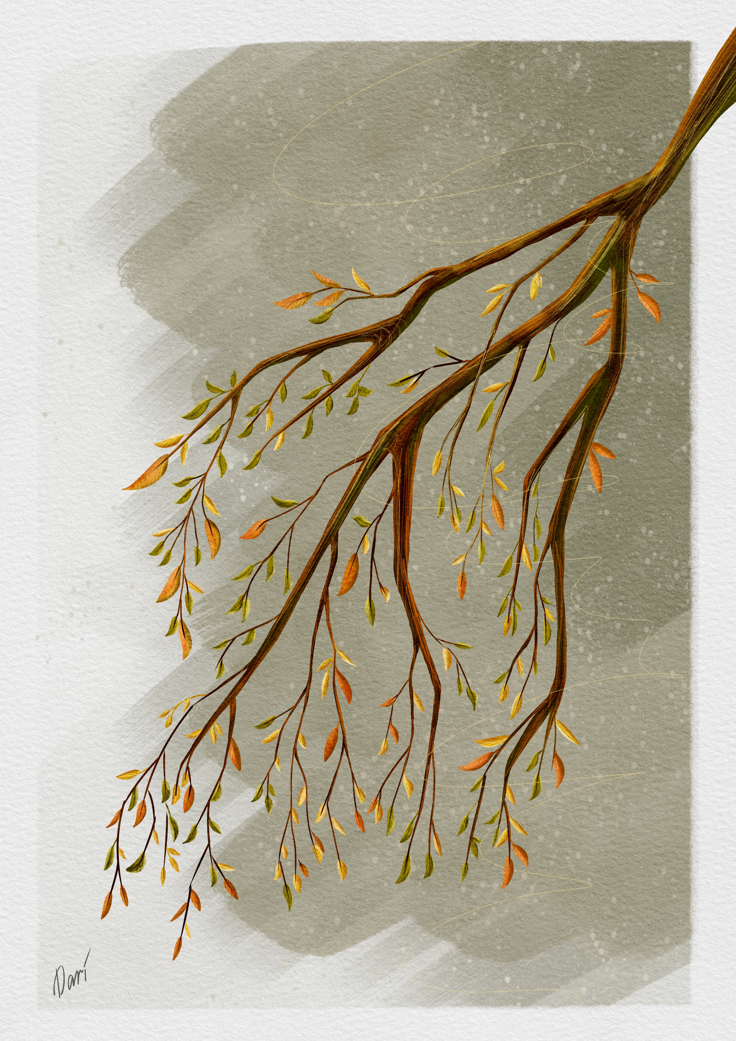 Веточка — Изображение №1 — Иллюстрация, Графика на Dprofile