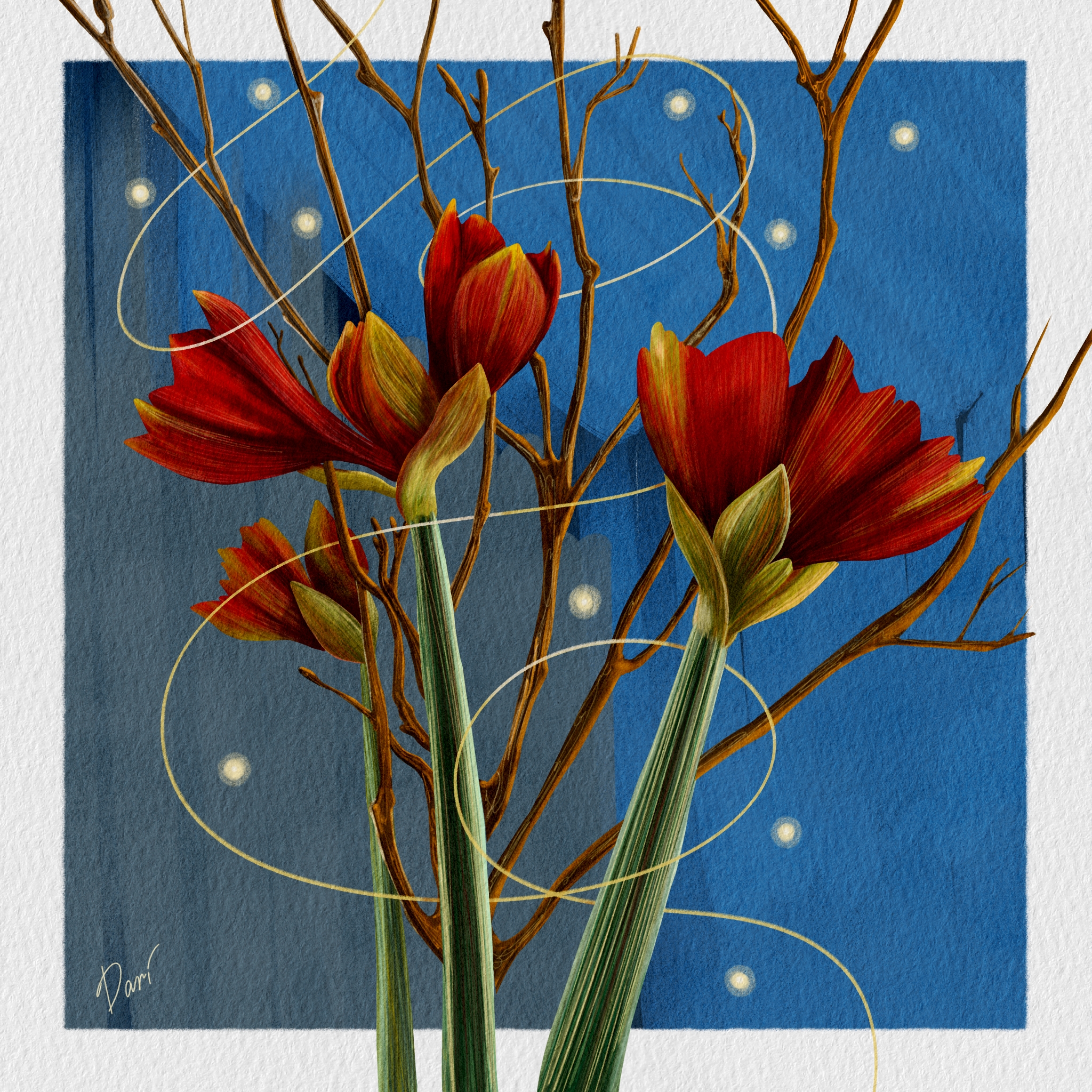 Амариллисы — Изображение №1 — Иллюстрация на Dprofile