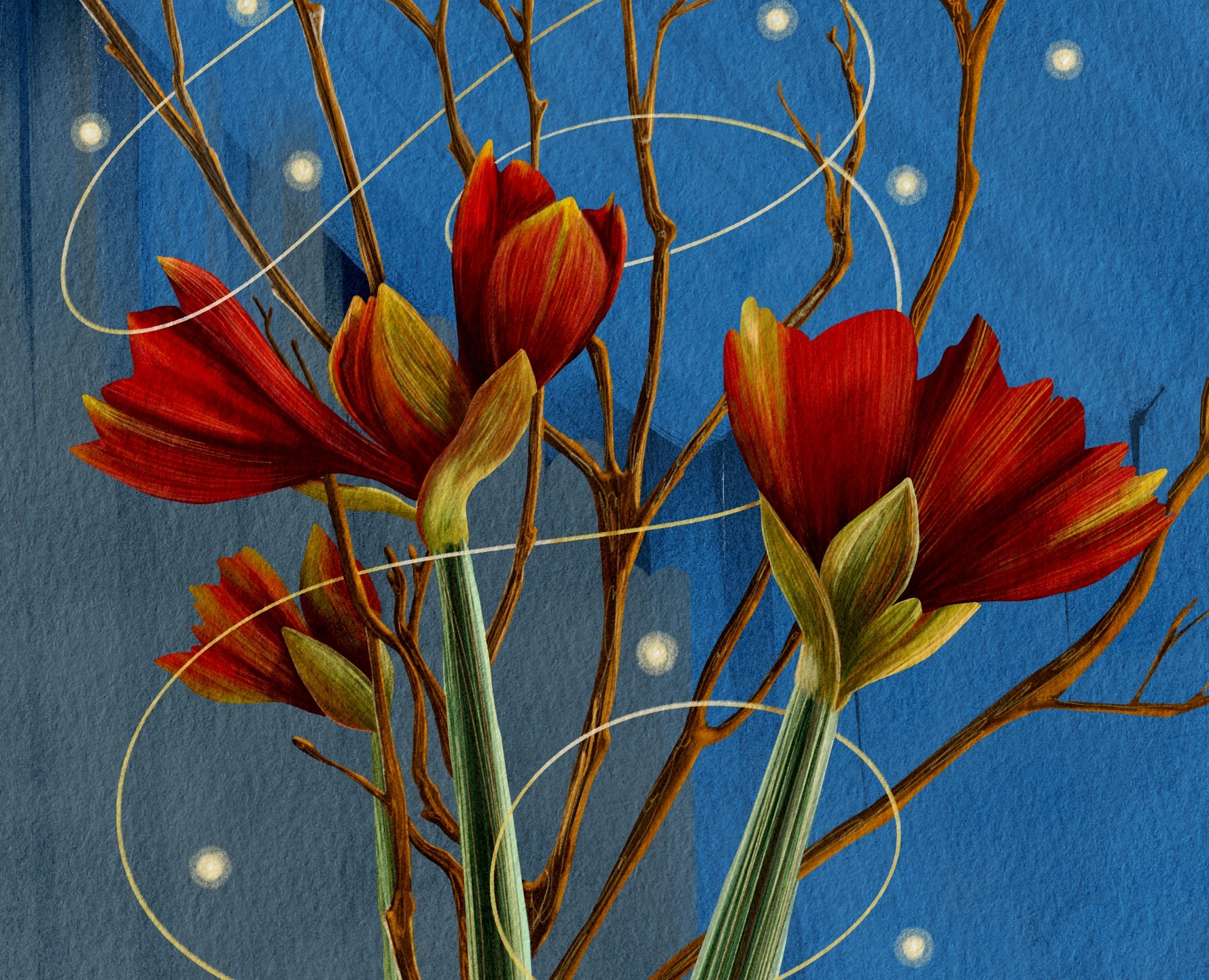 Амариллисы на Dprofile