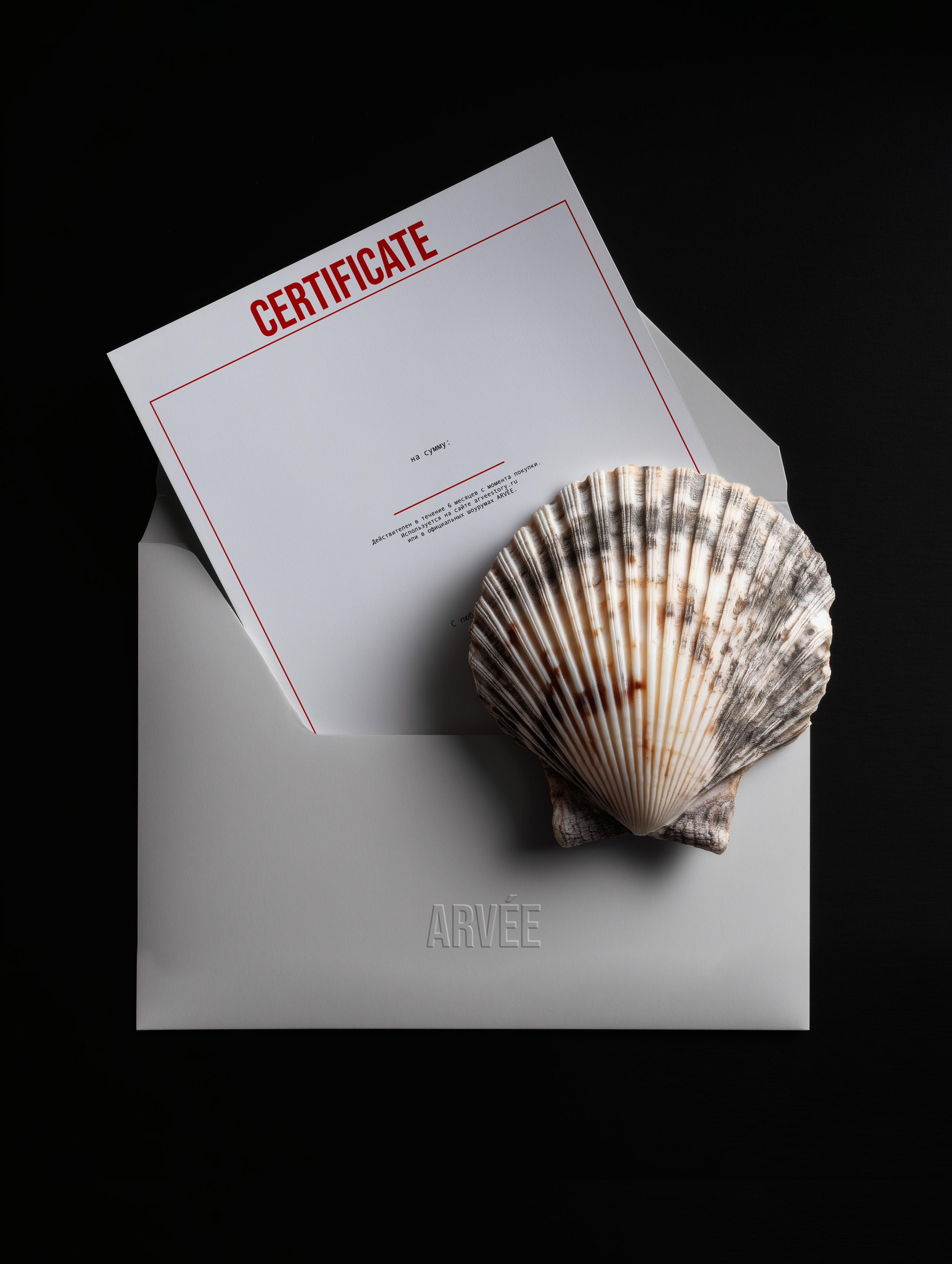 ARVÉE — Изображение №12 — Брендинг на Dprofile