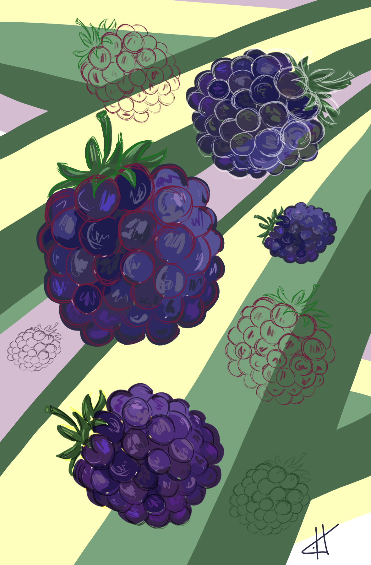 ЕЖЕВИКА — Изображение №1 — Брендинг, Иллюстрация на Dprofile