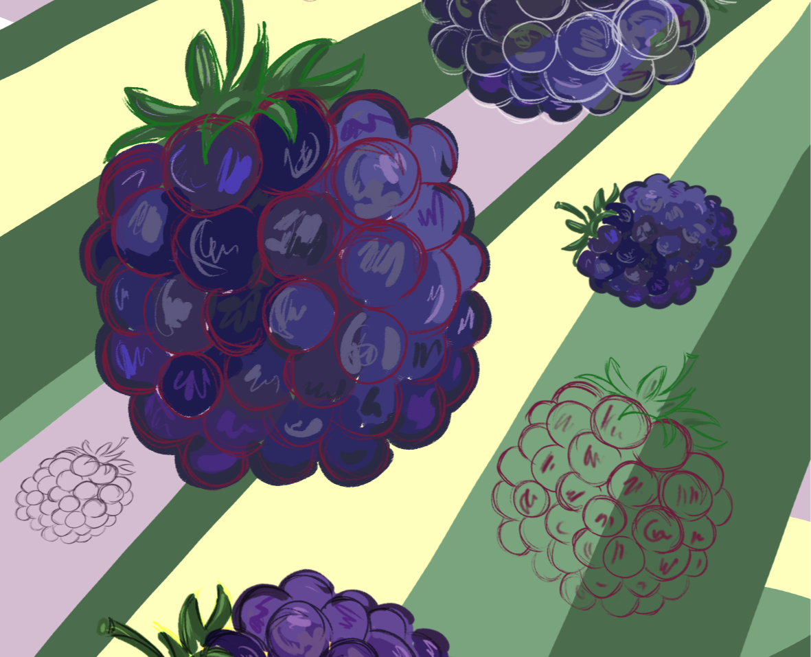 ЕЖЕВИКА на Dprofile