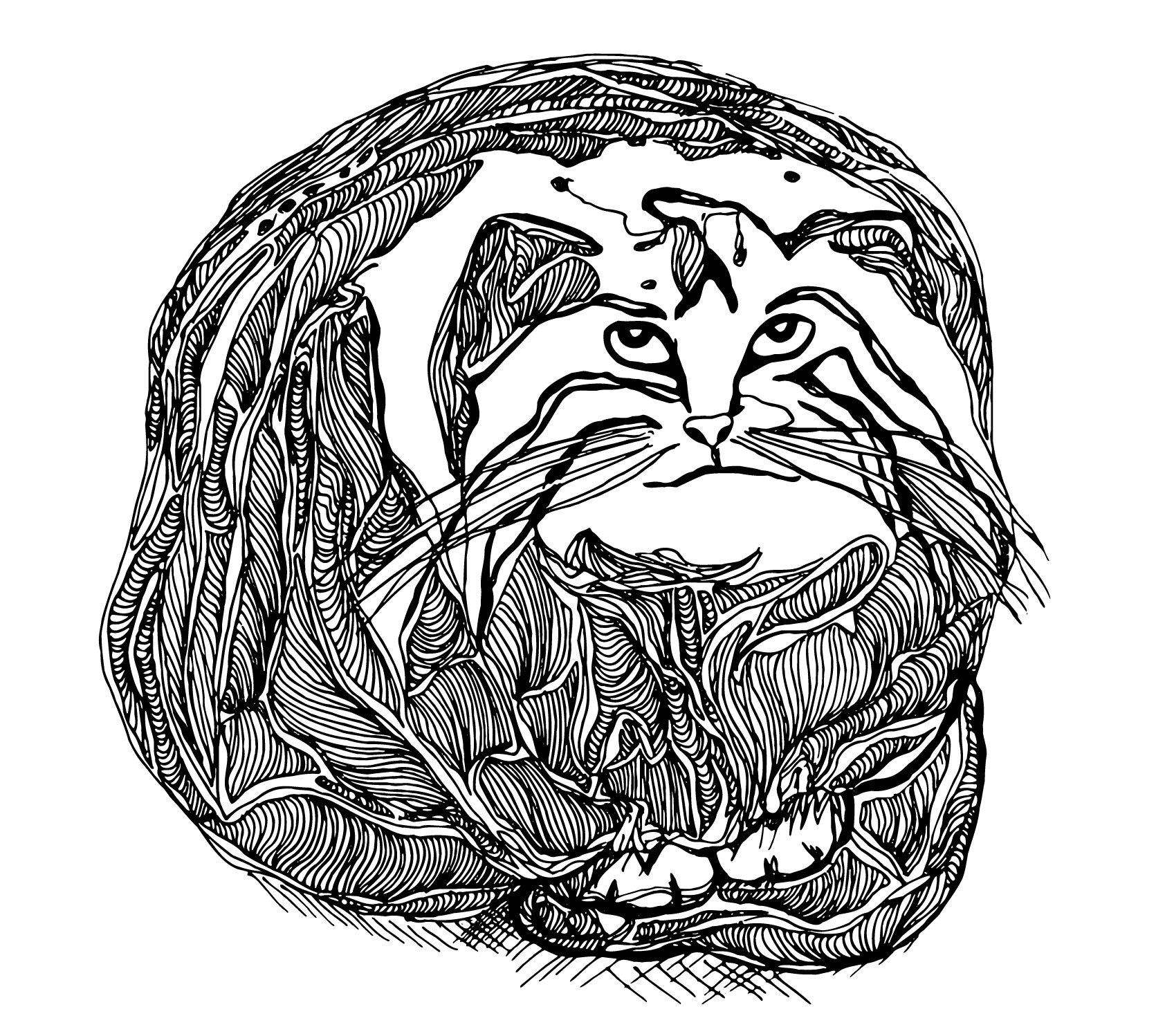 Манулы | Разработка мерча | линейный арт — Изображение №4 — Иллюстрация на Dprofile