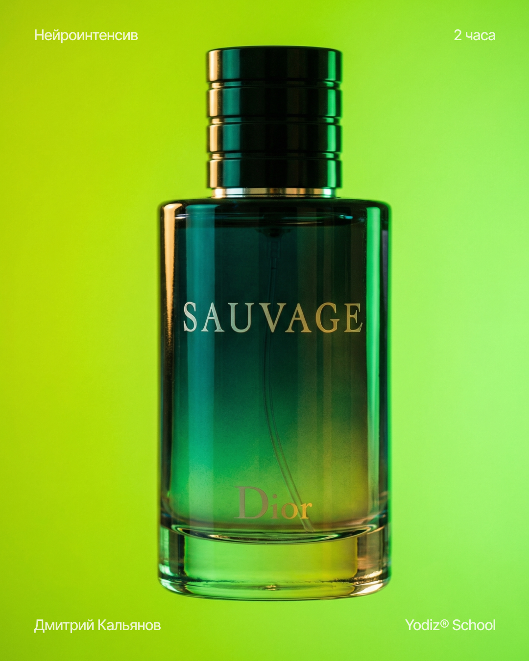 Yodiz® x Kalyanov — Изображение №4 — Интерфейсы, Графика на Dprofile