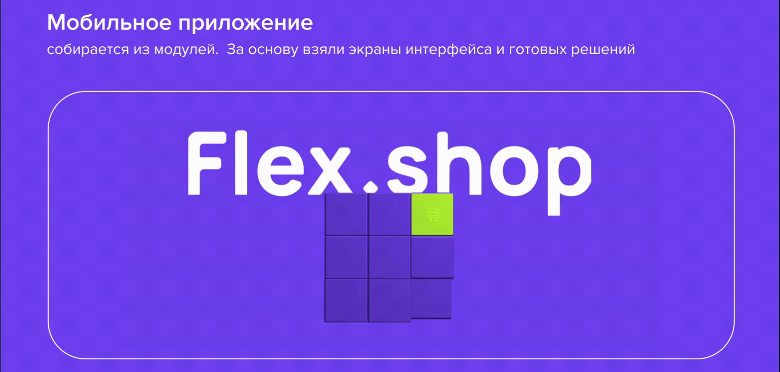 Продуктовое видео Flex.shop — Изображение №5 — Графика, Анимация на Dprofile