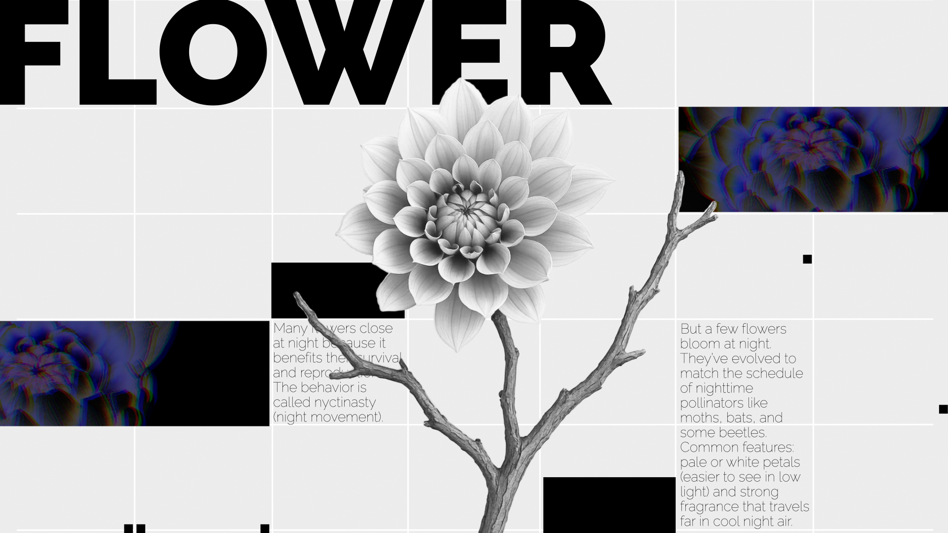 Showreel 2025 — Изображение №12 — Графика, Анимация на Dprofile