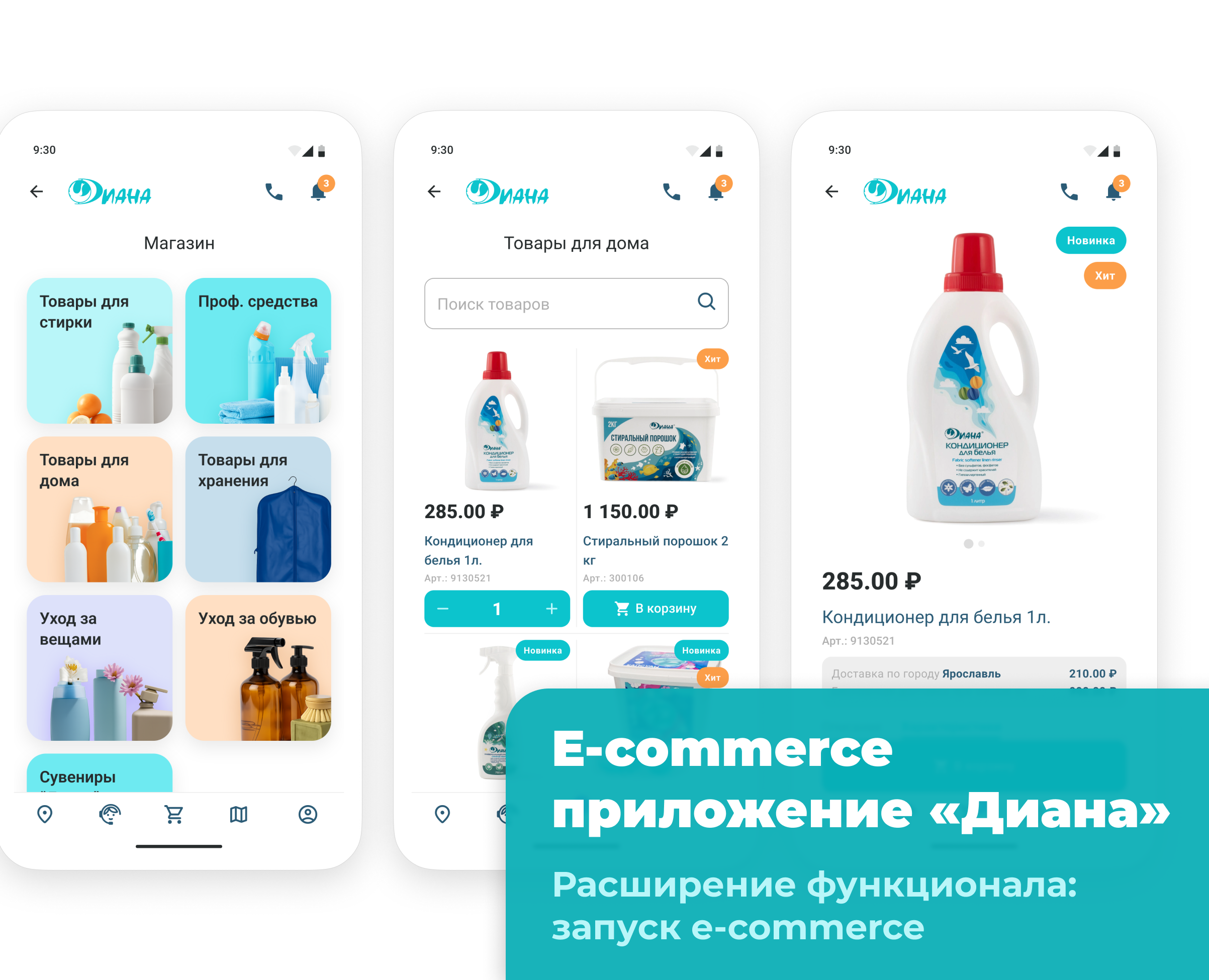 Дизайн интернет-магазина для приложения химчистки «Диана» на Dprofile