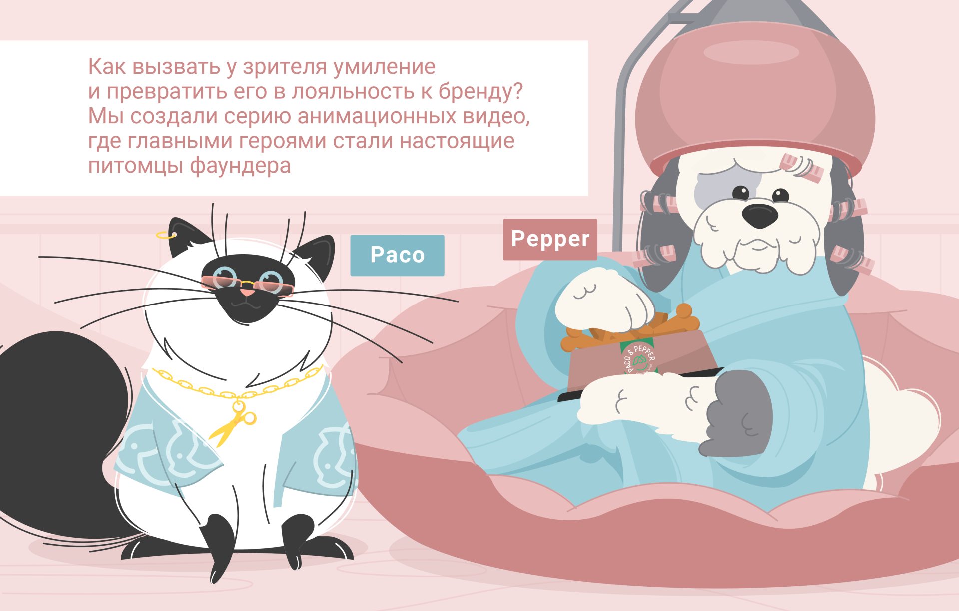 Видео о товарах для питомцев — Изображение №1 — Иллюстрация, Анимация на Dprofile