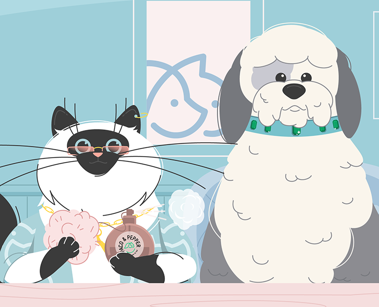 Видео о товарах для питомцев — Иллюстрация, Анимация на Dprofile