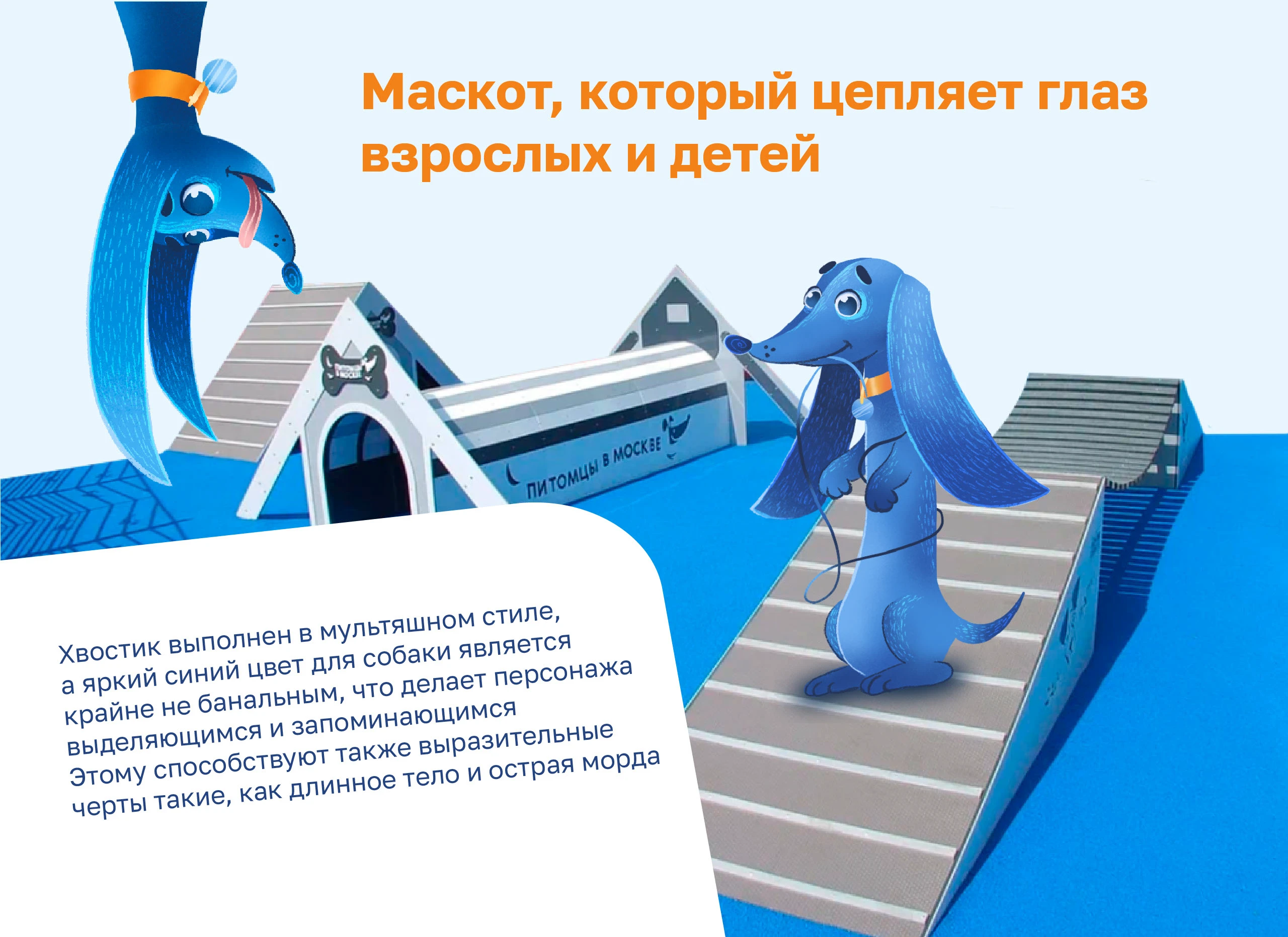 Хвостик┃Питомцы в Москве┃Бренд-персонаж — Изображение №5 — Брендинг, Иллюстрация на Dprofile