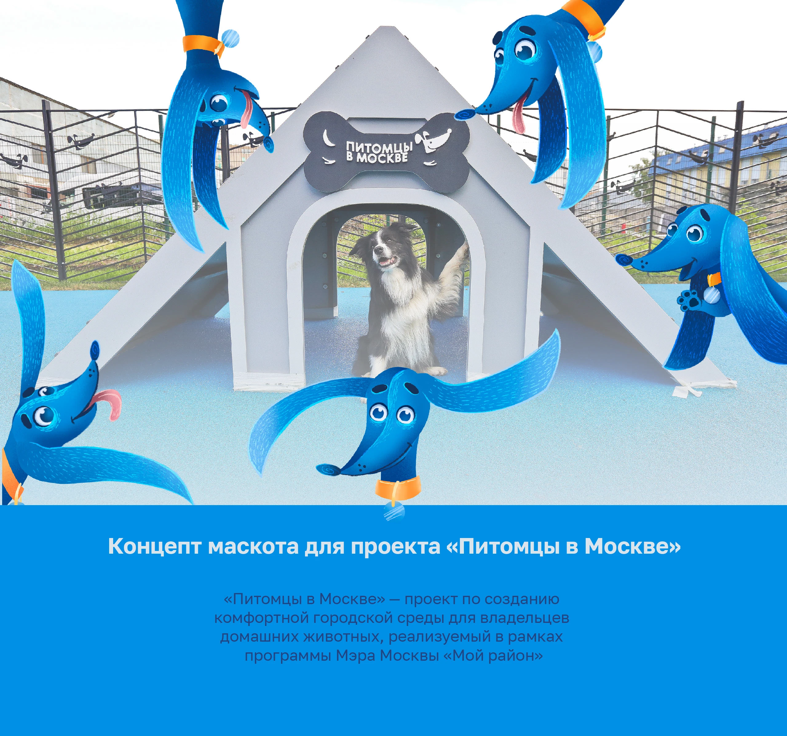 Хвостик┃Питомцы в Москве┃Бренд-персонаж — Изображение №1 — Брендинг, Иллюстрация на Dprofile
