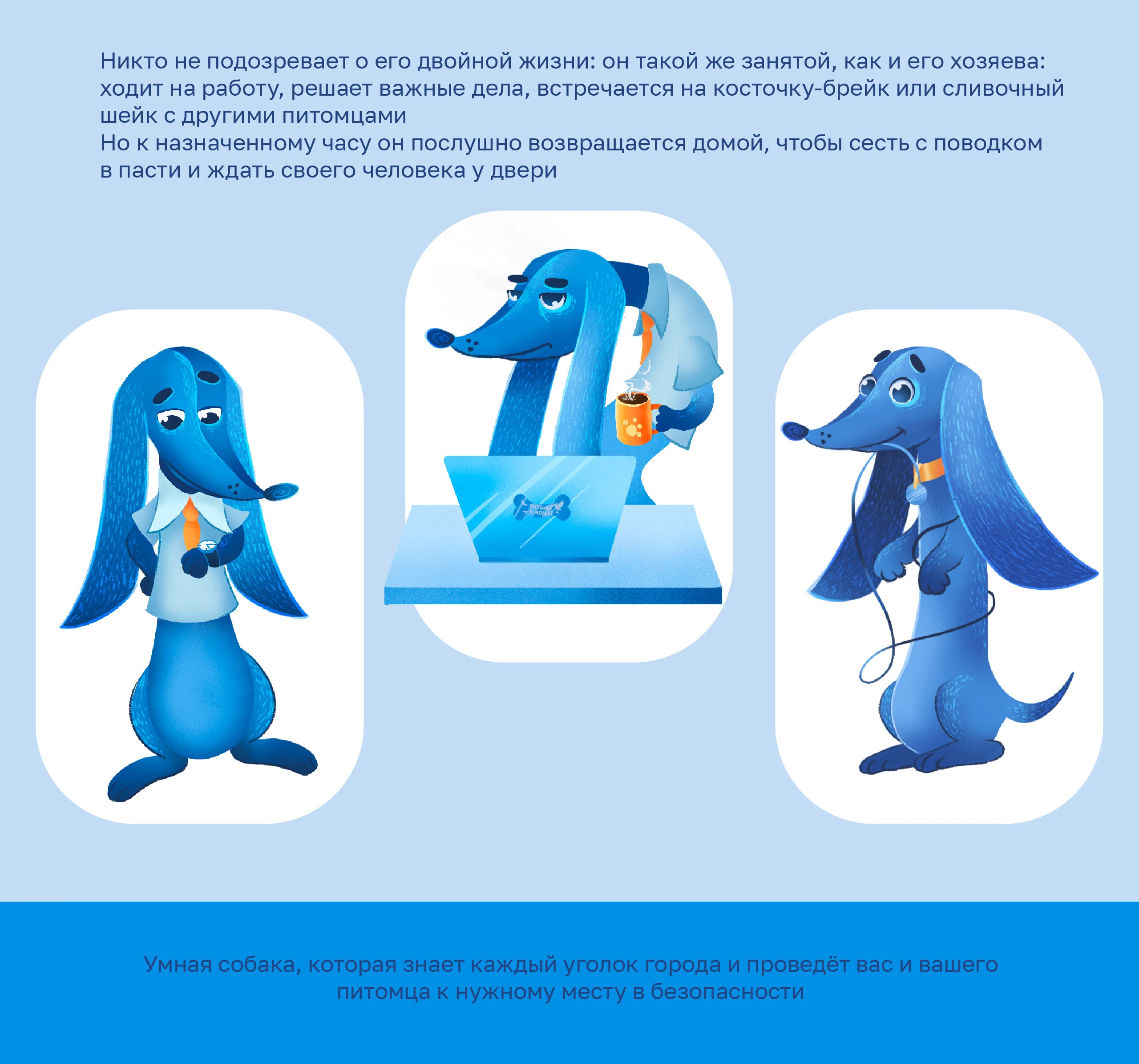 Хвостик┃Питомцы в Москве┃Бренд-персонаж — Изображение №4 — Брендинг, Иллюстрация на Dprofile