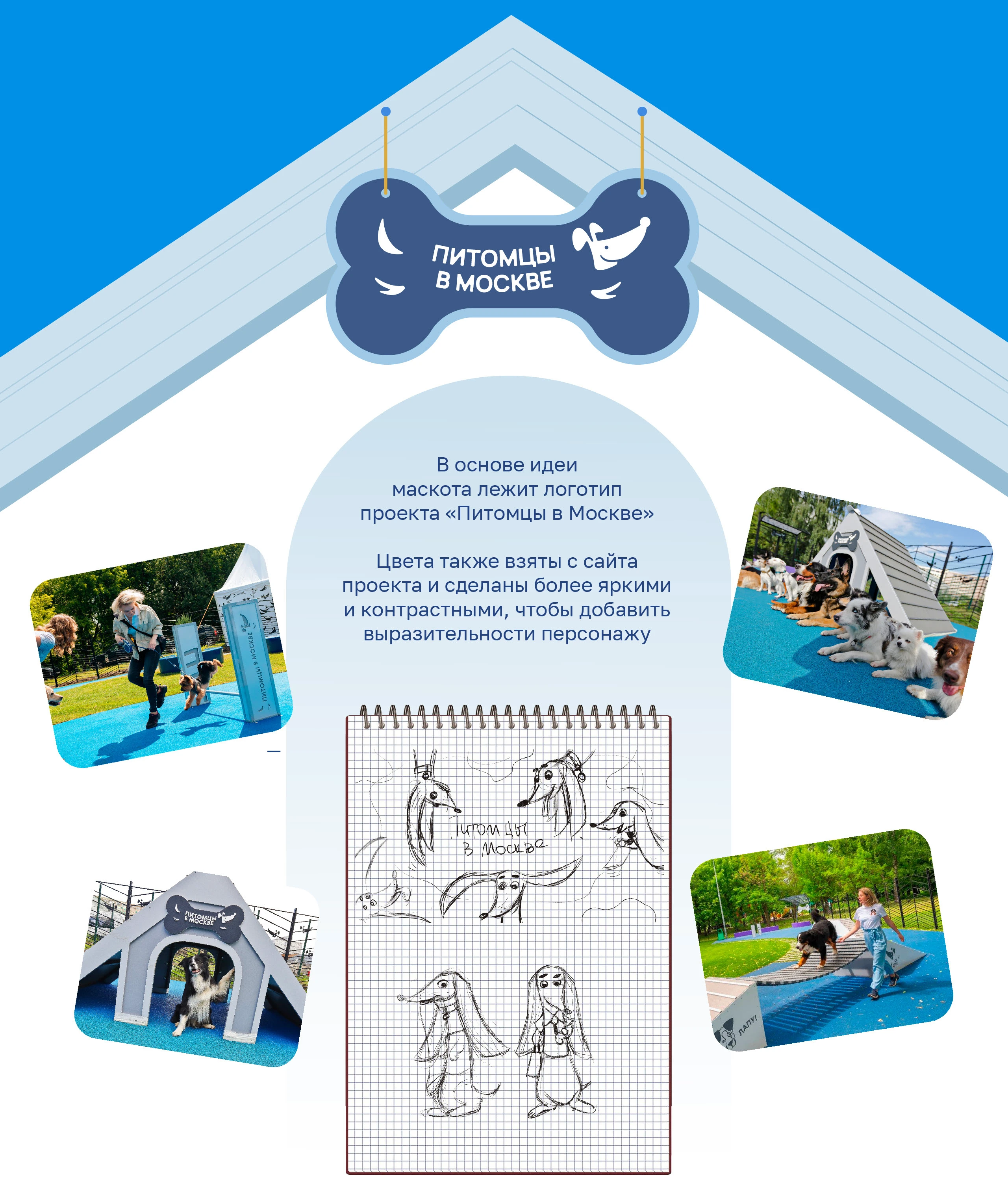 Хвостик┃Питомцы в Москве┃Бренд-персонаж — Изображение №2 — Брендинг, Иллюстрация на Dprofile