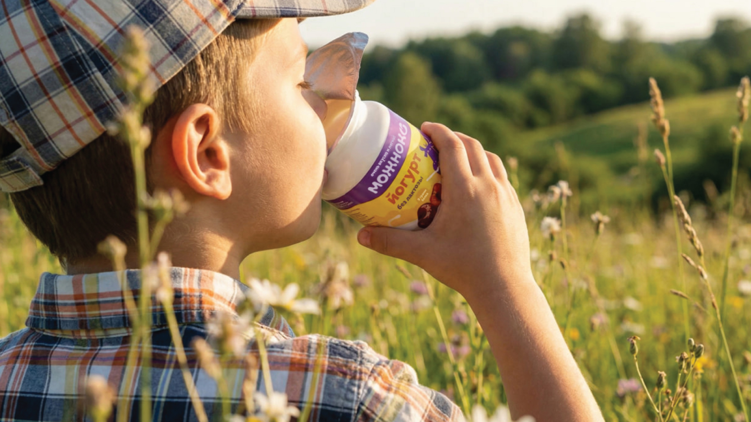 Можноко | Упаковка безлактозной продукции — Изображение №7 — Брендинг, Иллюстрация на Dprofile