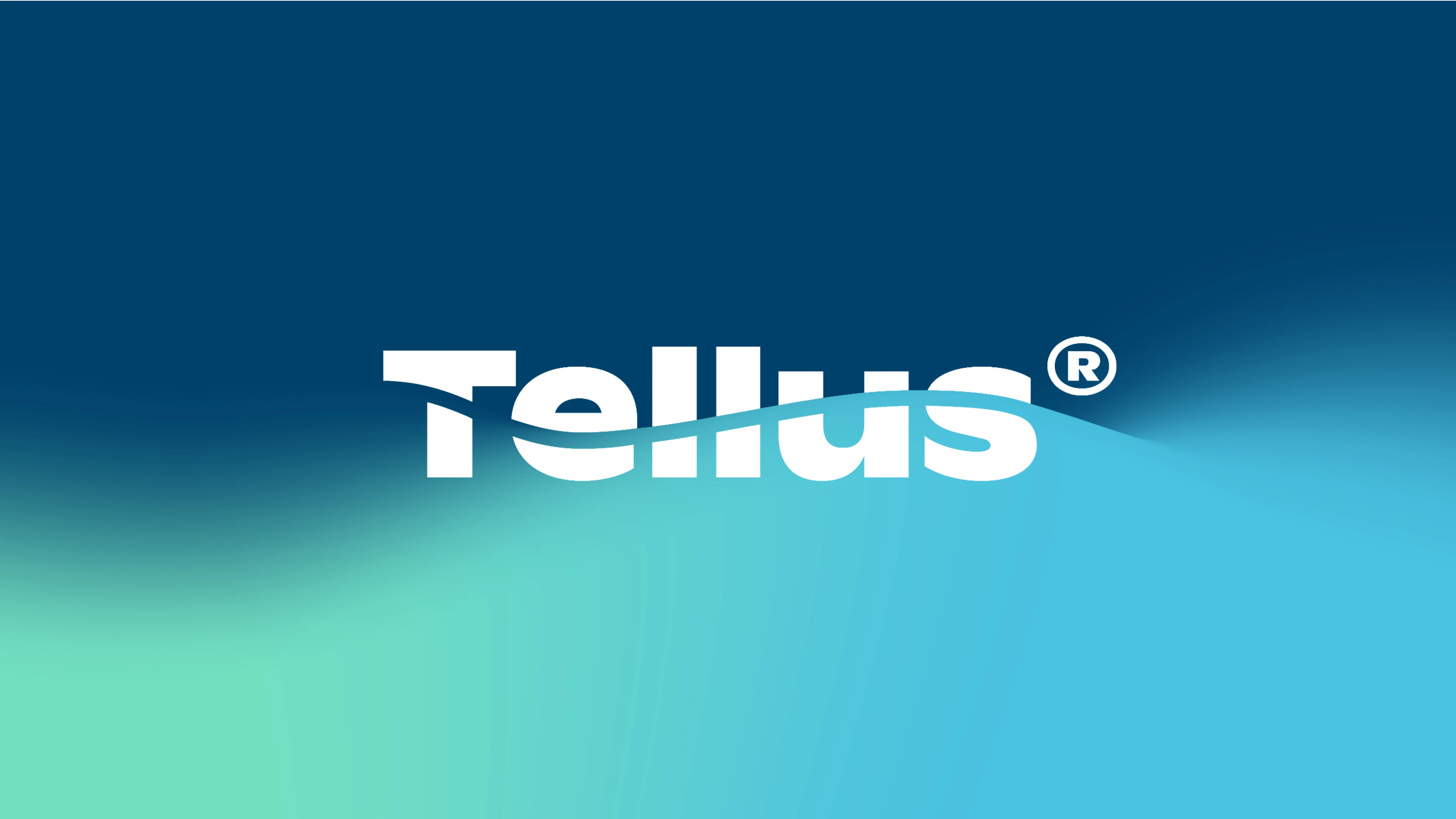 Tellus — Изображение №1 — Брендинг на Dprofile