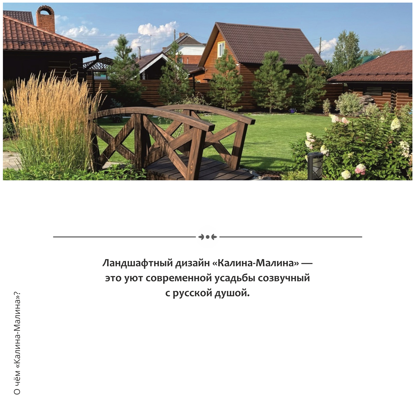 Логотип «Калина-малина» — Изображение №3 — Брендинг на Dprofile