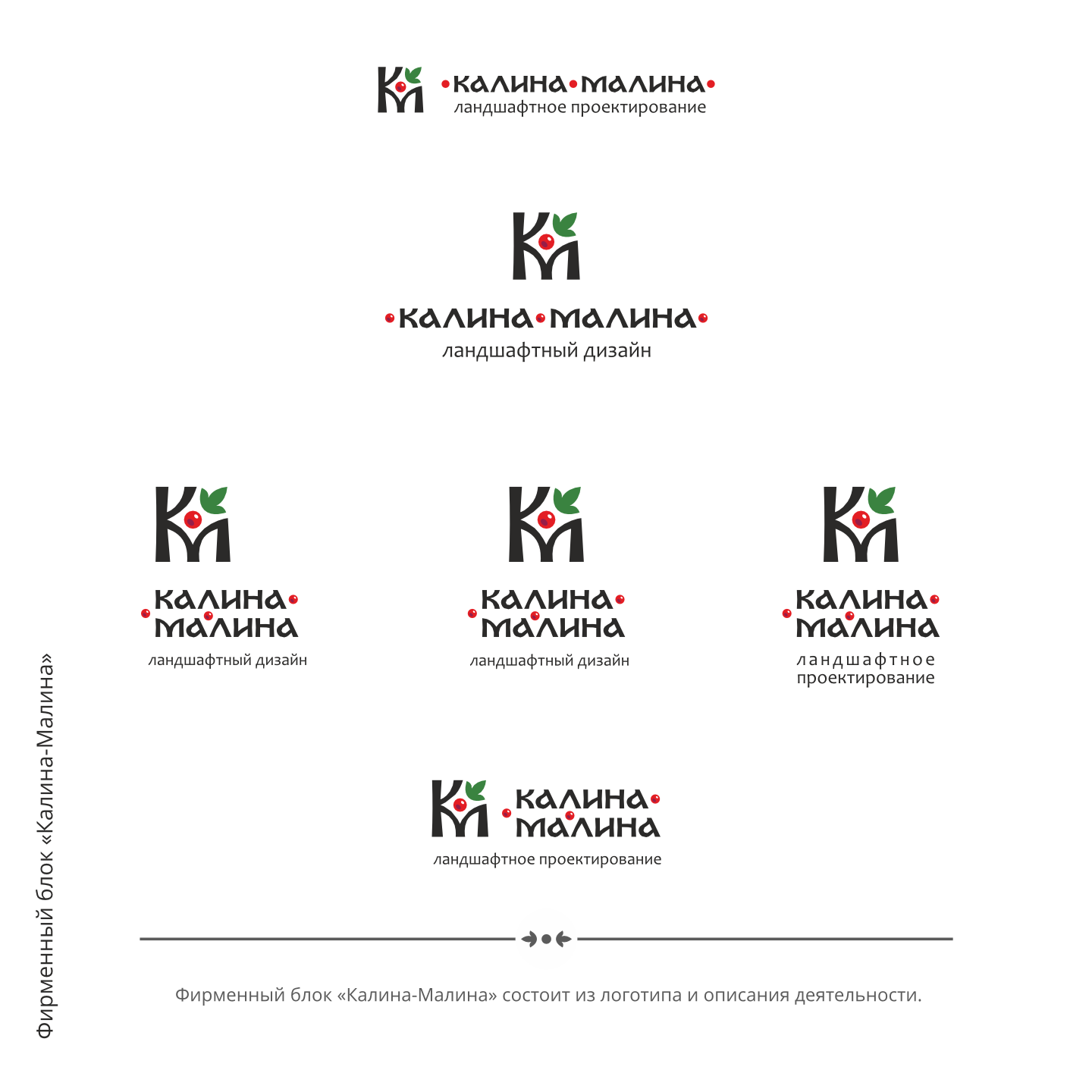 Логотип «Калина-малина» — Изображение №8 — Брендинг на Dprofile