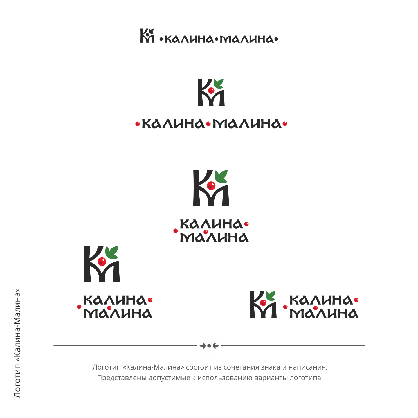 Логотип «Калина-малина» — Изображение №6 — Брендинг на Dprofile