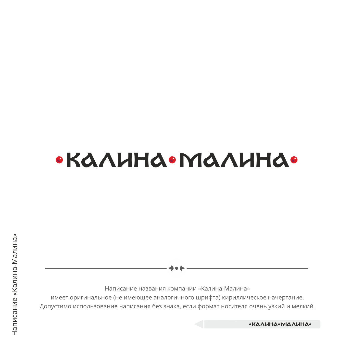 Логотип «Калина-малина» — Изображение №5 — Брендинг на Dprofile