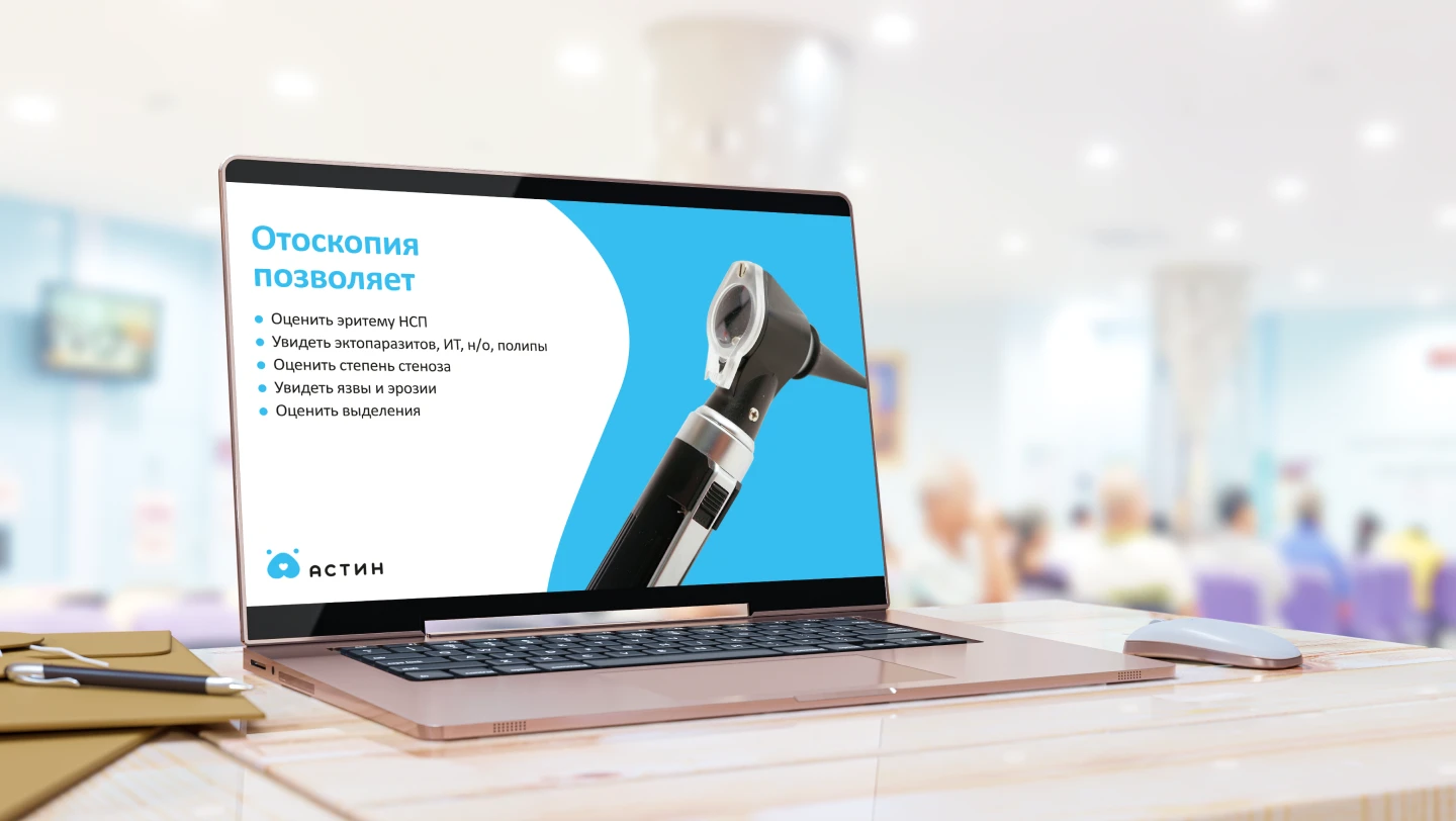 Презентация для ветеринарного дерматолога — Изображение №5 — Маркетинг на Dprofile