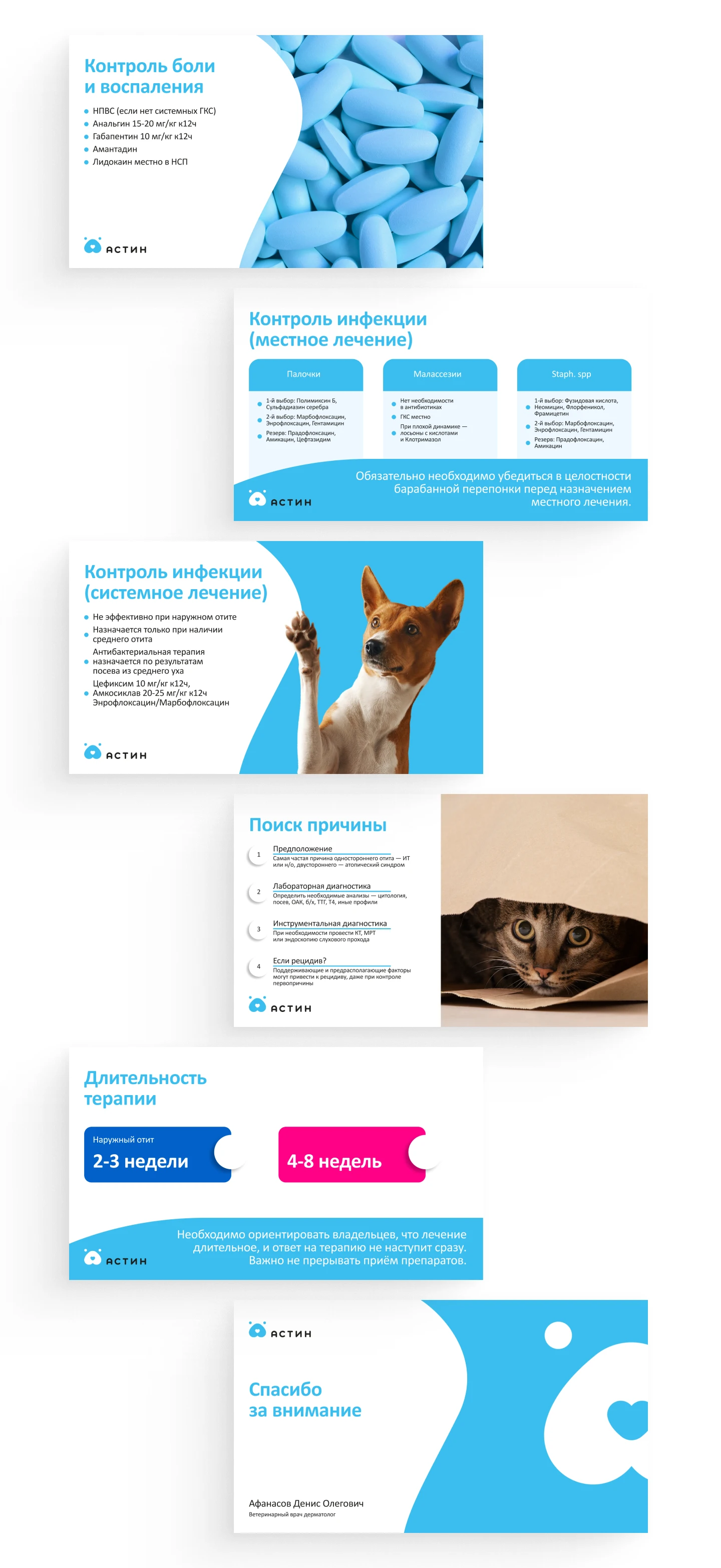 Презентация для ветеринарного дерматолога — Изображение №8 — Маркетинг на Dprofile