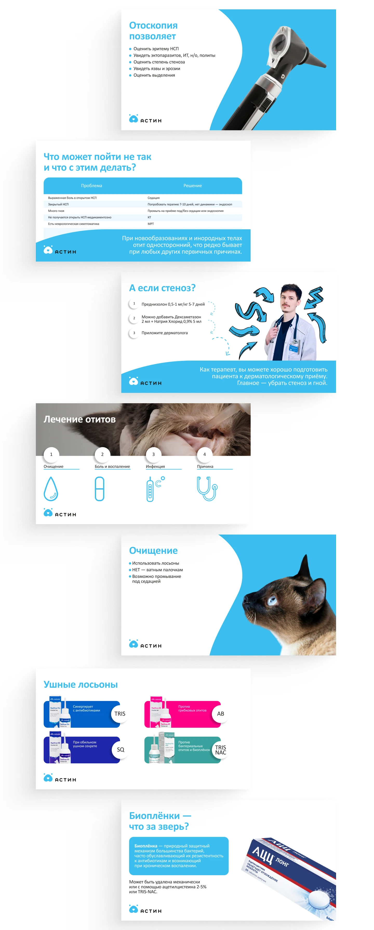 Презентация для ветеринарного дерматолога — Изображение №6 — Маркетинг на Dprofile