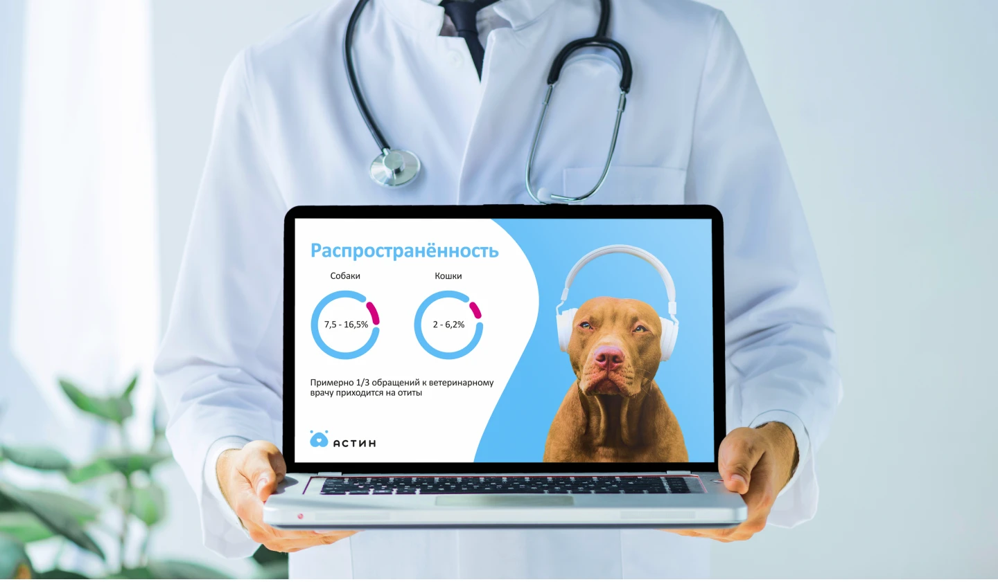 Презентация для ветеринарного дерматолога — Изображение №1 — Маркетинг на Dprofile