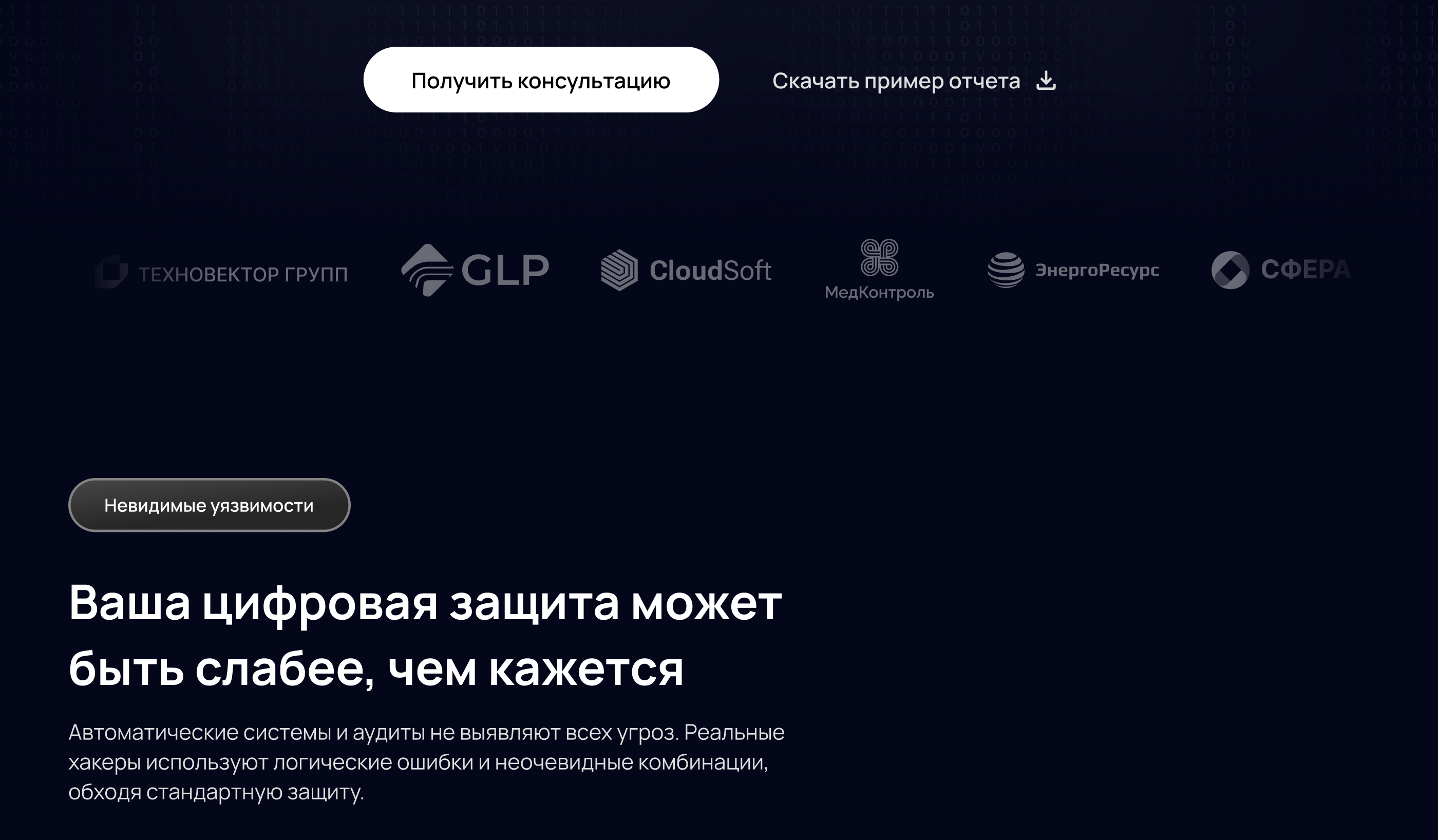 Лендинг для провайдера кибербезопасности — Изображение №7 — Интерфейсы на Dprofile