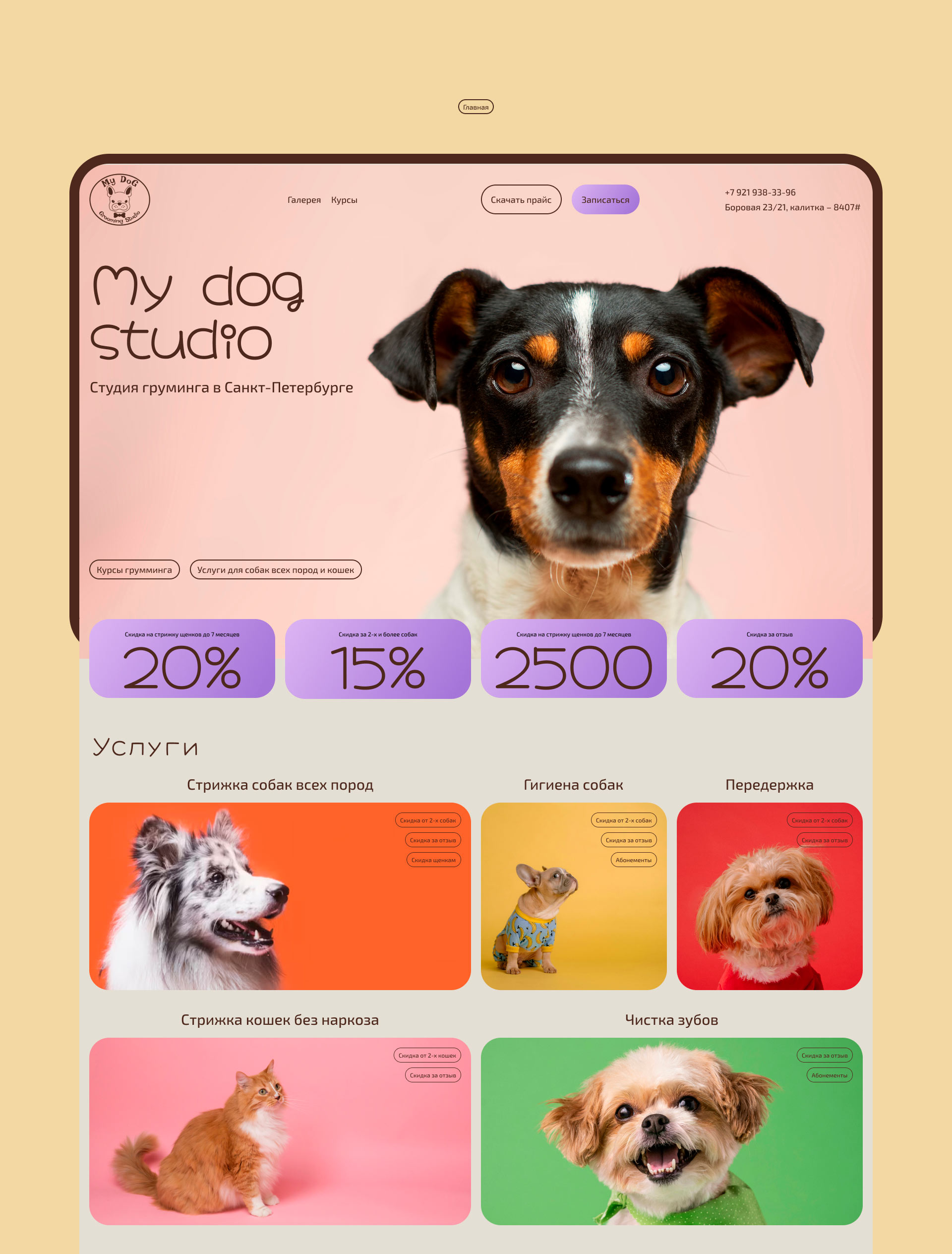 My dog grooming studio — Изображение №2 — Интерфейсы на Dprofile