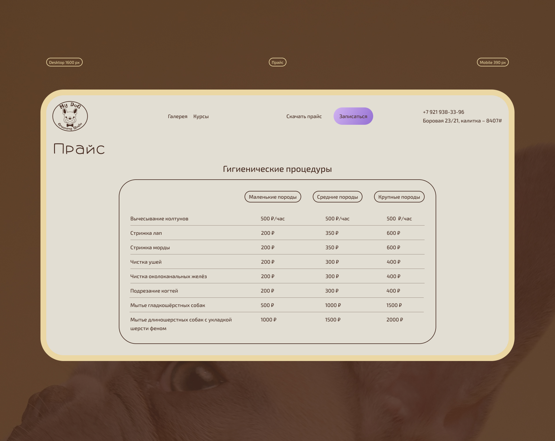 My dog grooming studio — Изображение №3 — Интерфейсы на Dprofile