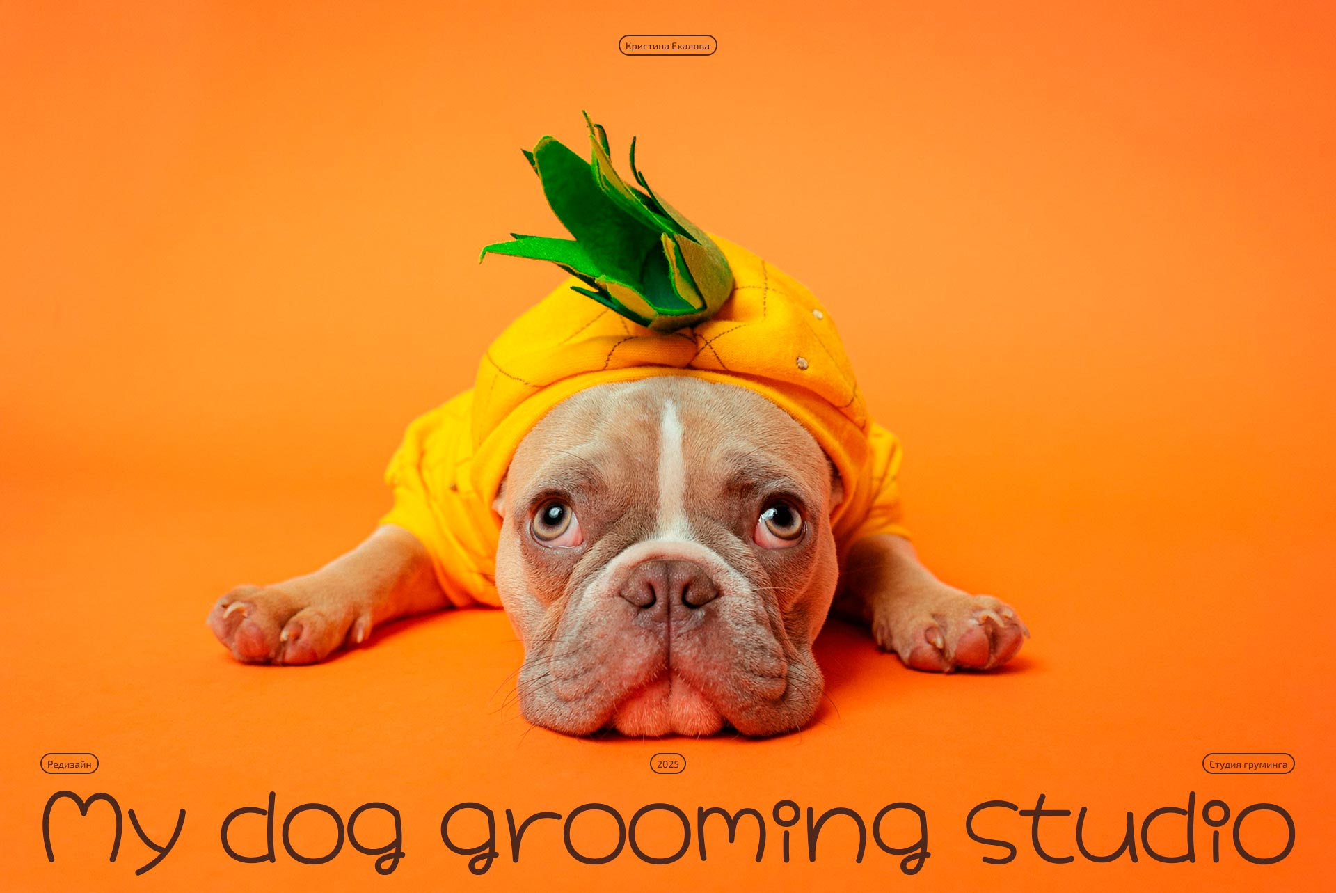 My dog grooming studio — Изображение №1 — Интерфейсы на Dprofile
