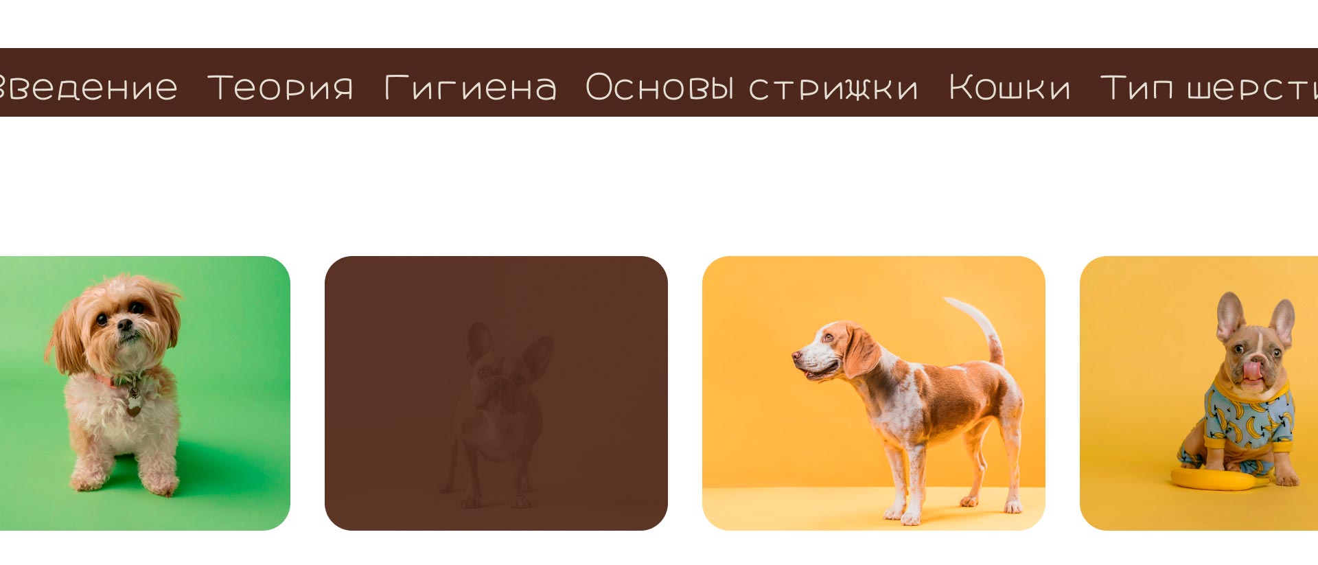 My dog grooming studio — Изображение №8 — Интерфейсы на Dprofile