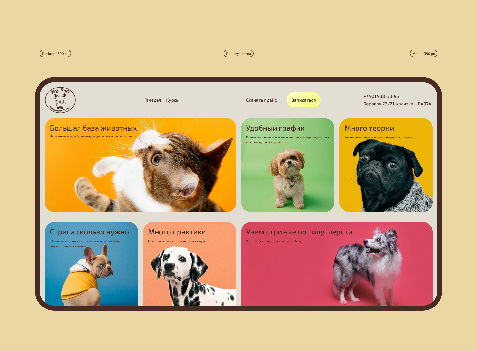 My dog grooming studio — Изображение №9 — Интерфейсы на Dprofile