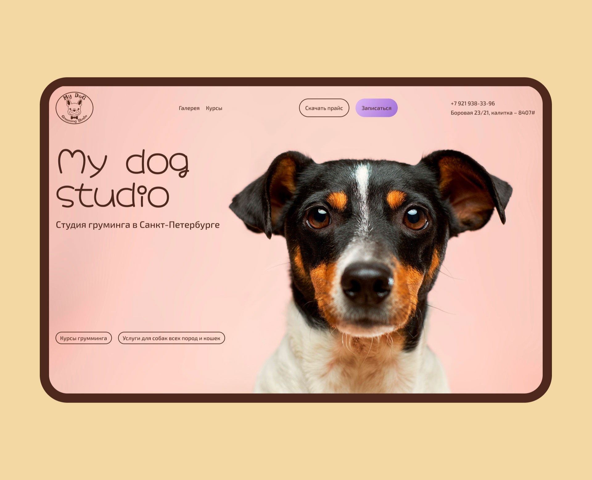 My dog grooming studio на Dprofile