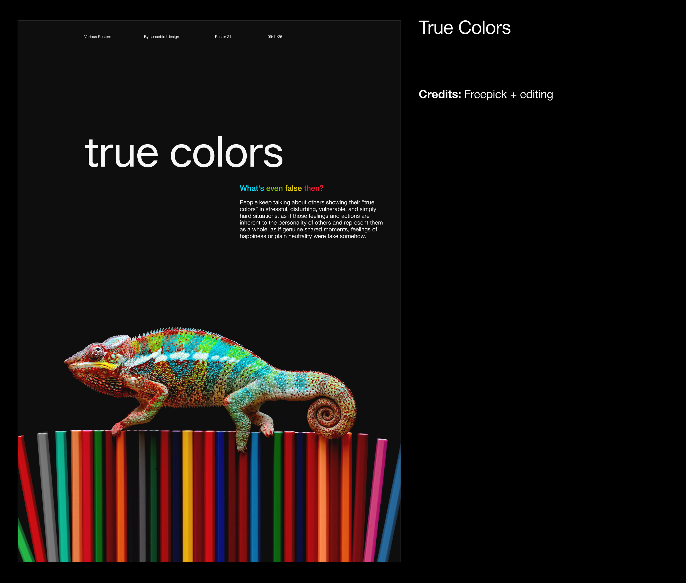 Various Posters series — Vol. I — Изображение №37 — Иллюстрация, Графика на Dprofile