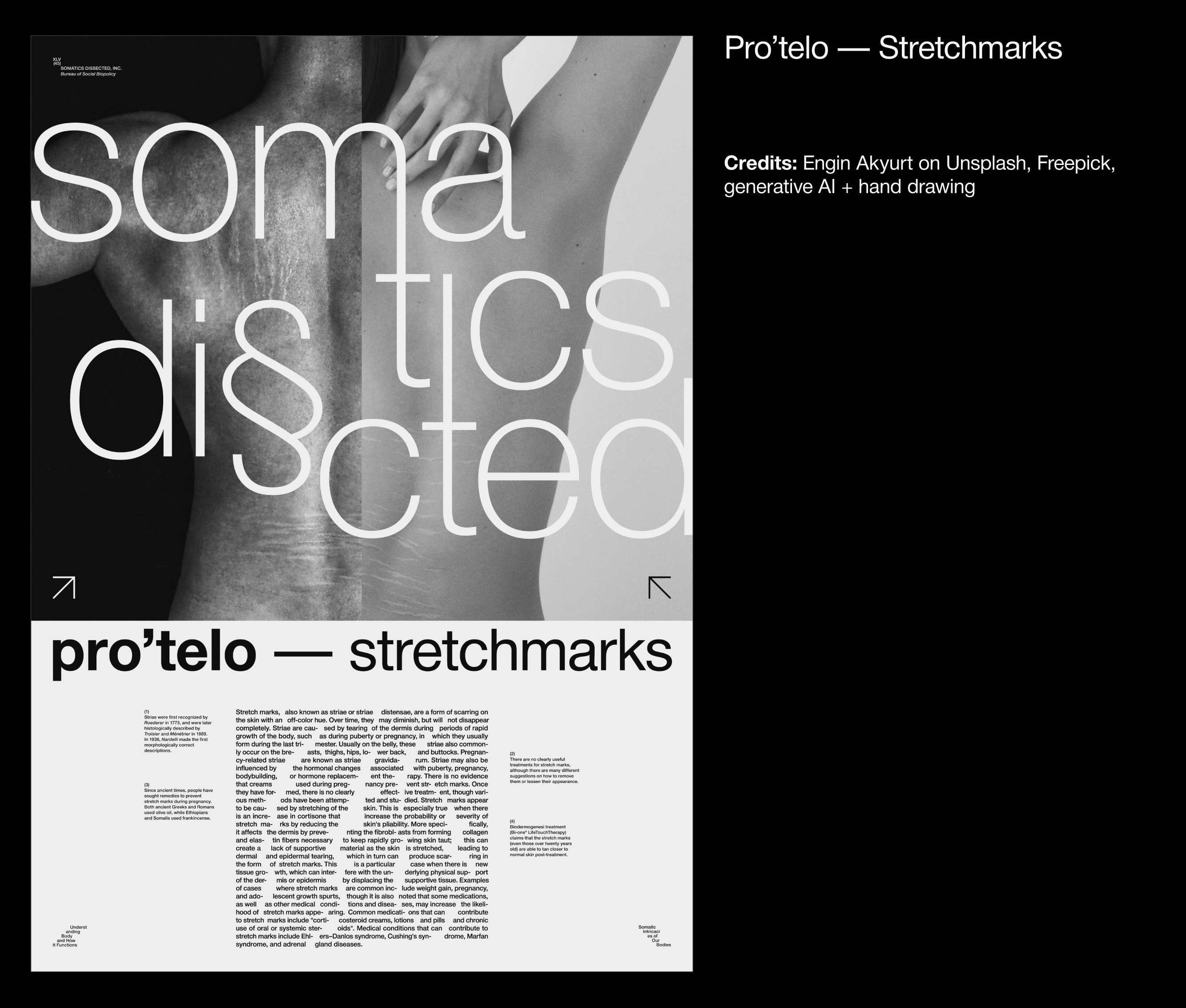 Various Posters series — Vol. I — Изображение №17 — Иллюстрация, Графика на Dprofile