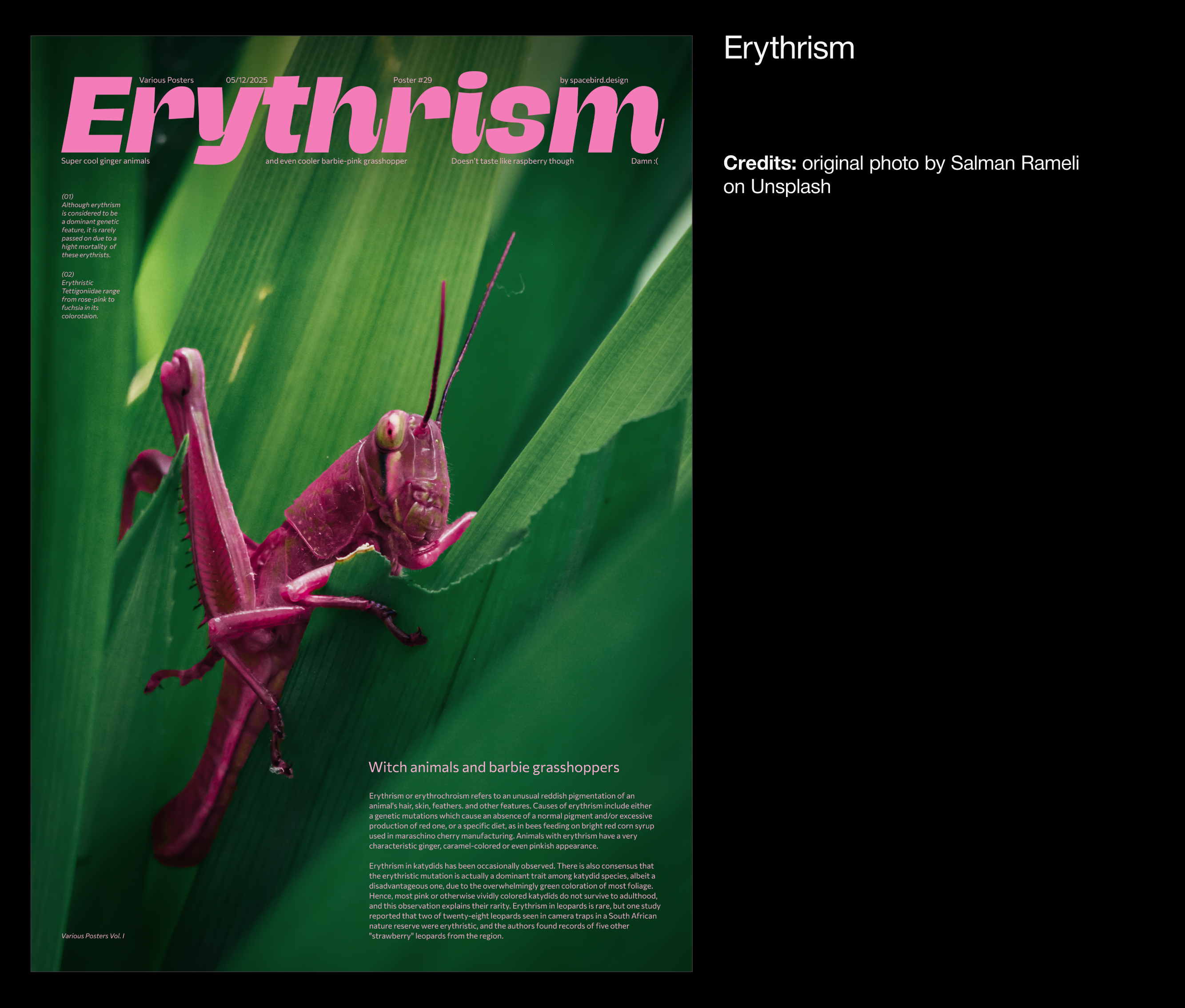 Various Posters series — Vol. I — Изображение №55 — Иллюстрация, Графика на Dprofile