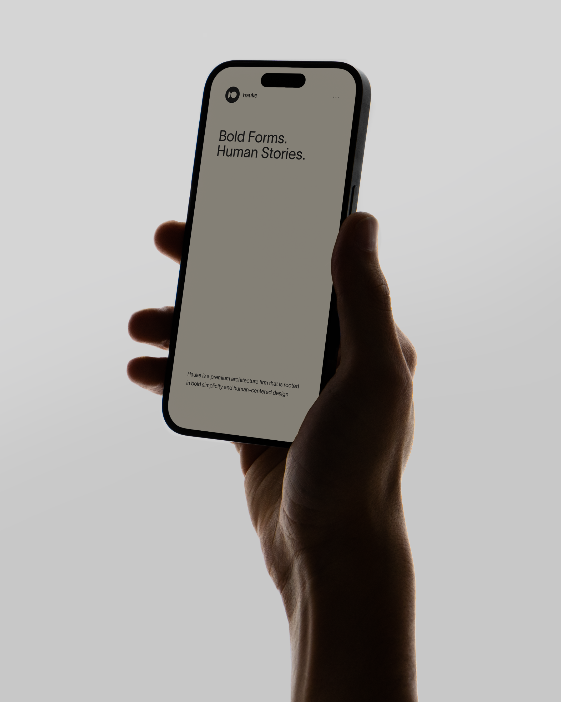 Hauke — Изображение №23 — Брендинг на Dprofile