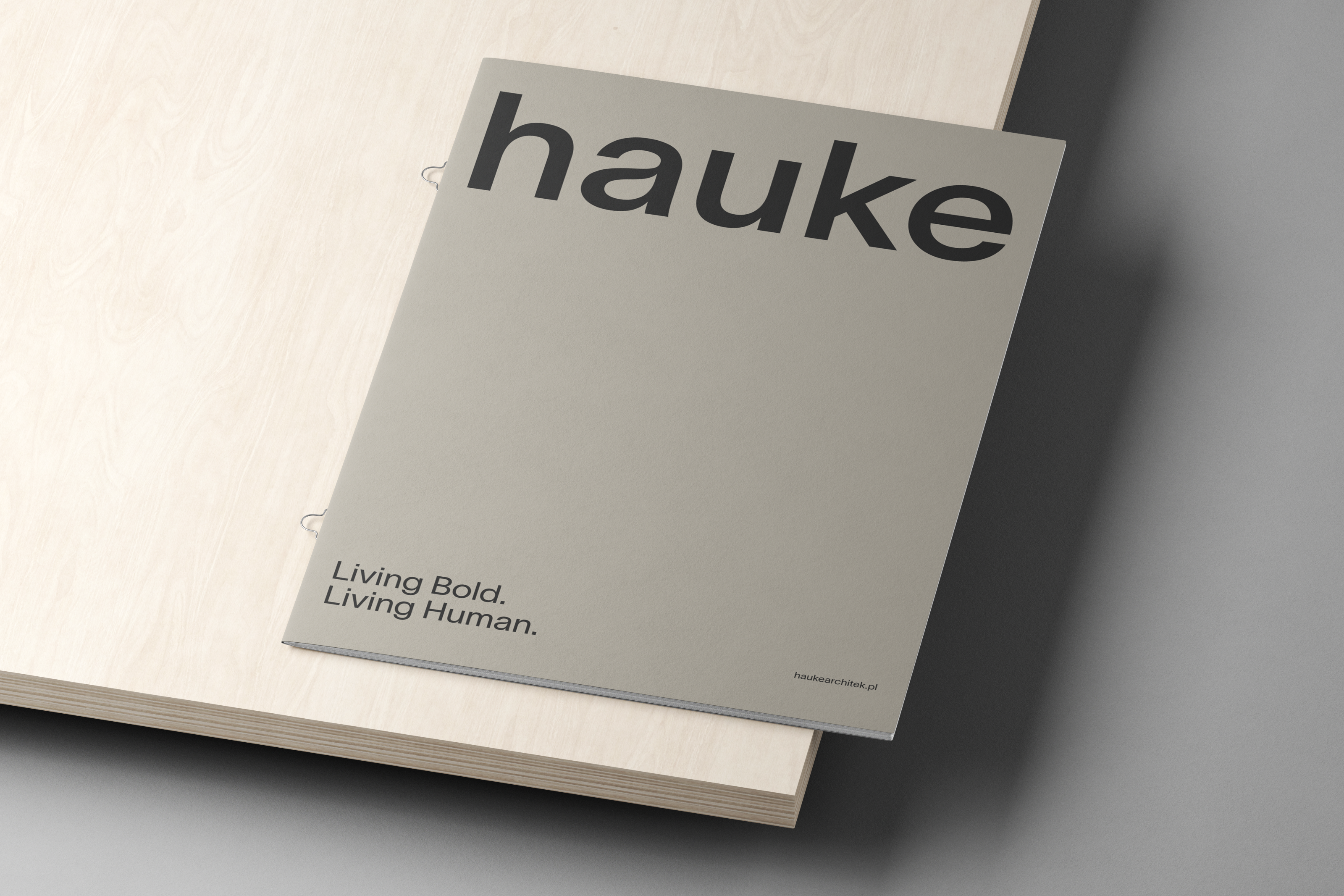 Hauke — Изображение №21 — Брендинг на Dprofile