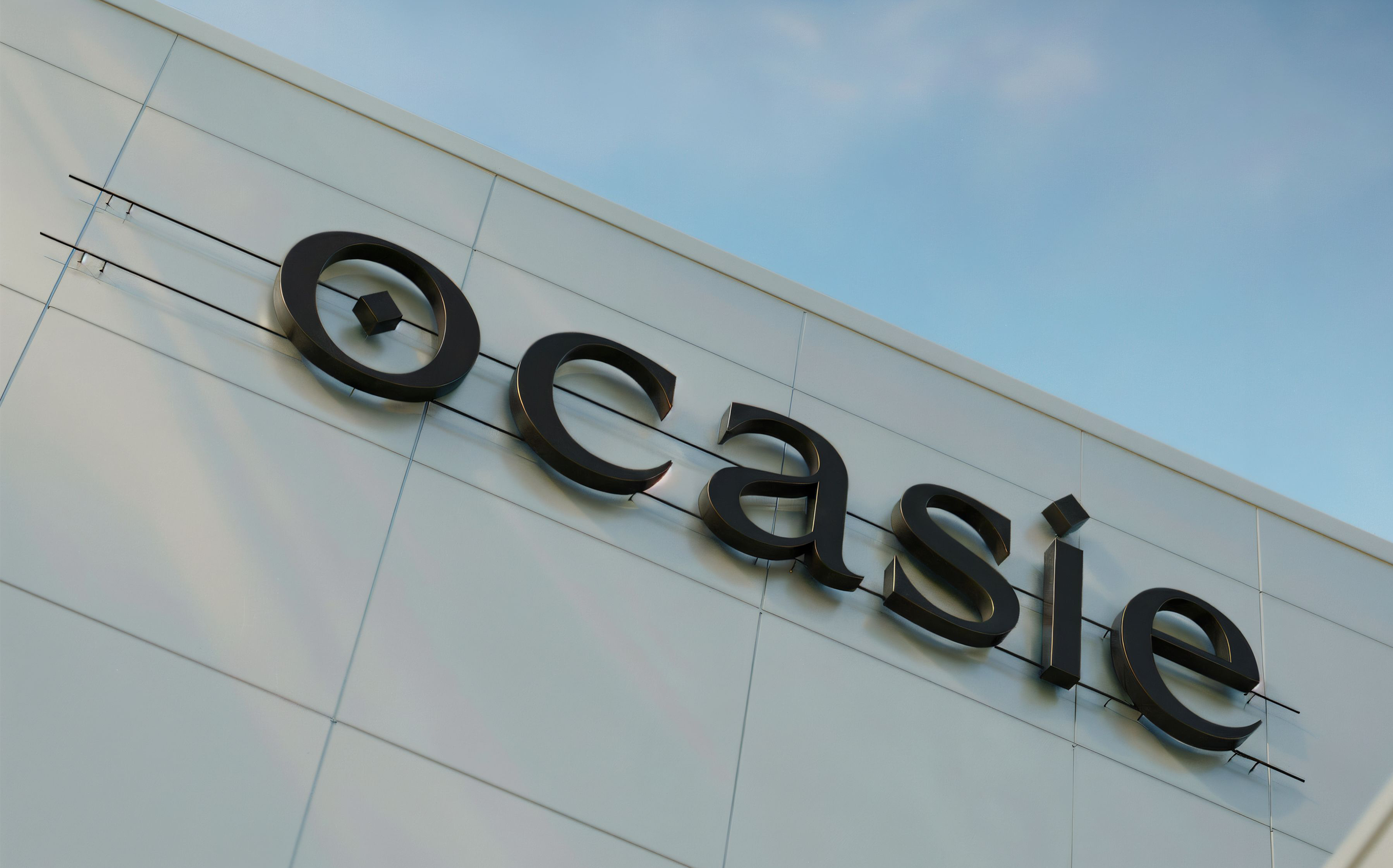 Ocasie™ — Изображение №17 — Брендинг, Графика на Dprofile