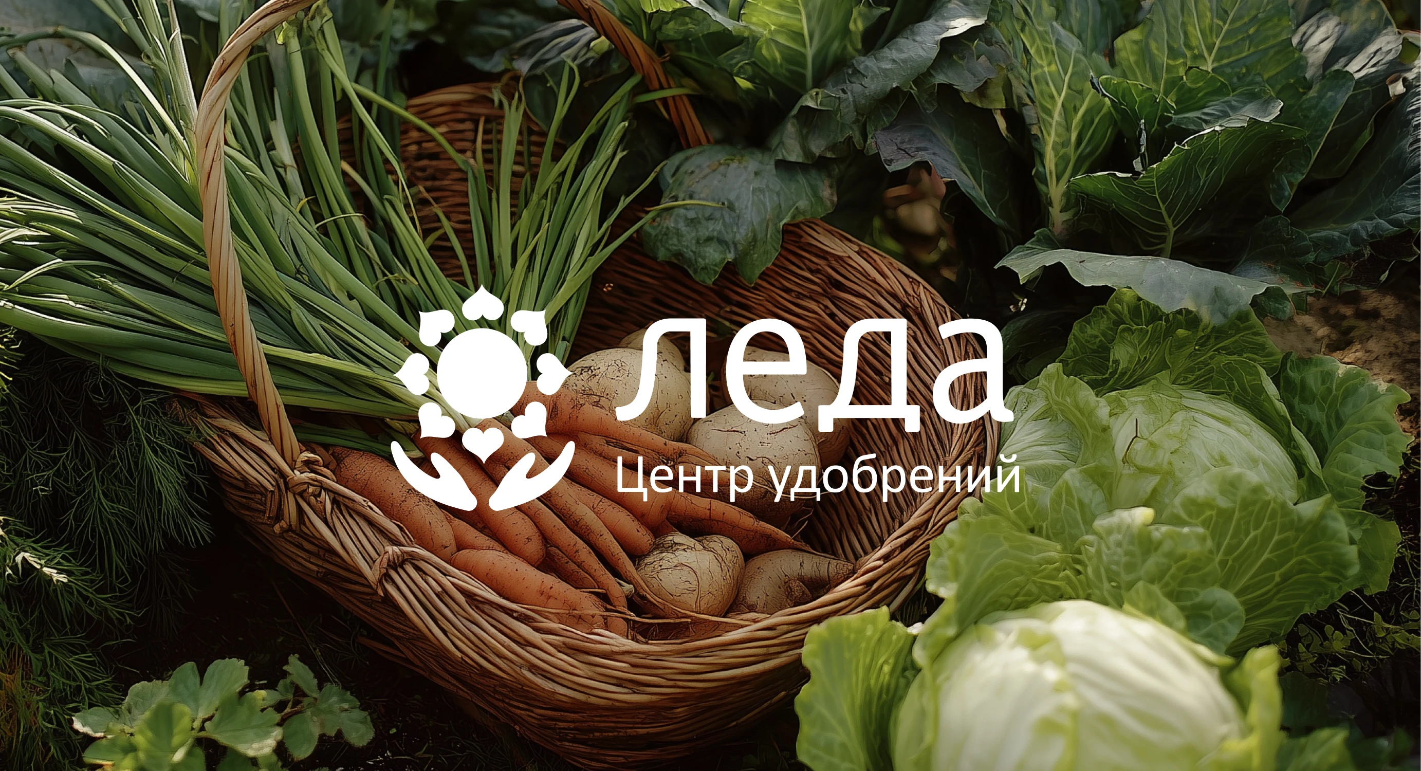 Дизайн упаковки для линейки удобрений — Изображение №1 — Брендинг, Иллюстрация на Dprofile