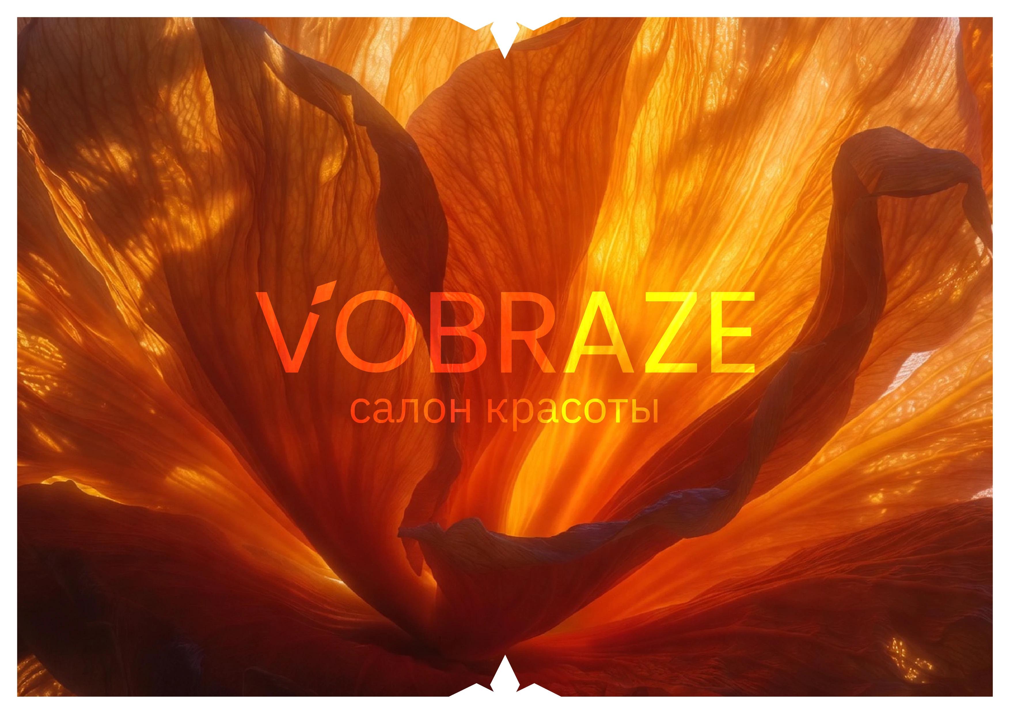 Vobraze Branding Identity — Изображение №1 — Брендинг на Dprofile