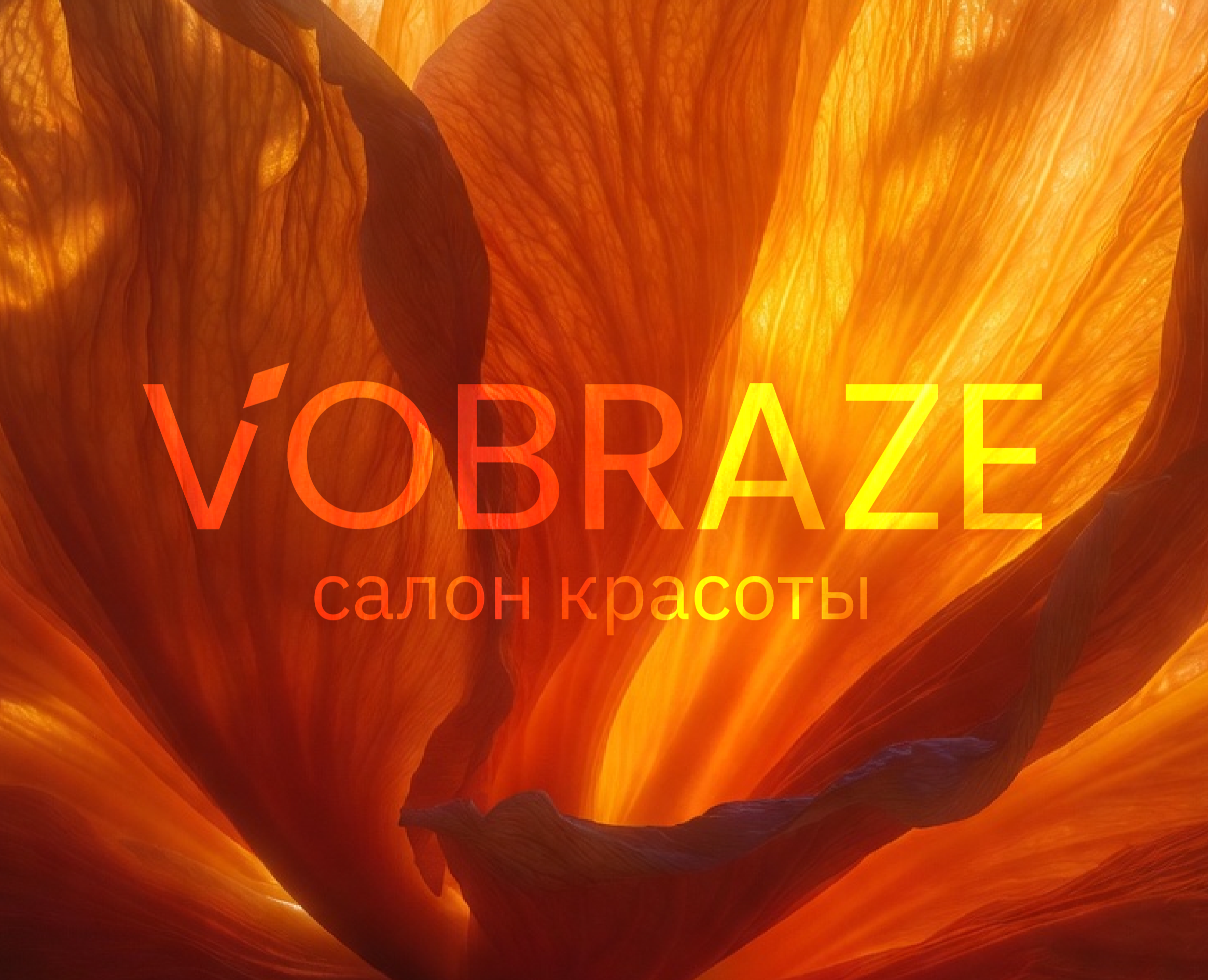 Vobraze Branding Identity на Dprofile